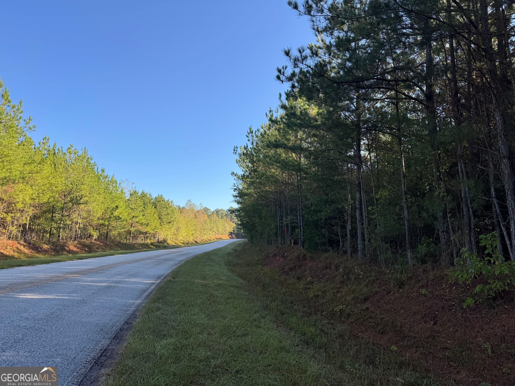 residential lot for sale at TRACT 15 Butler Road, Franklin, GA 30217 — photo 1 of 4