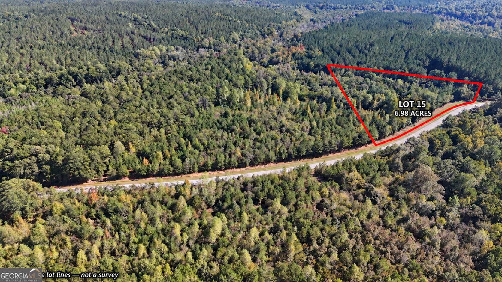 residential lot for sale at TRACT 15 Butler Road, Franklin, GA 30217 — photo 4
