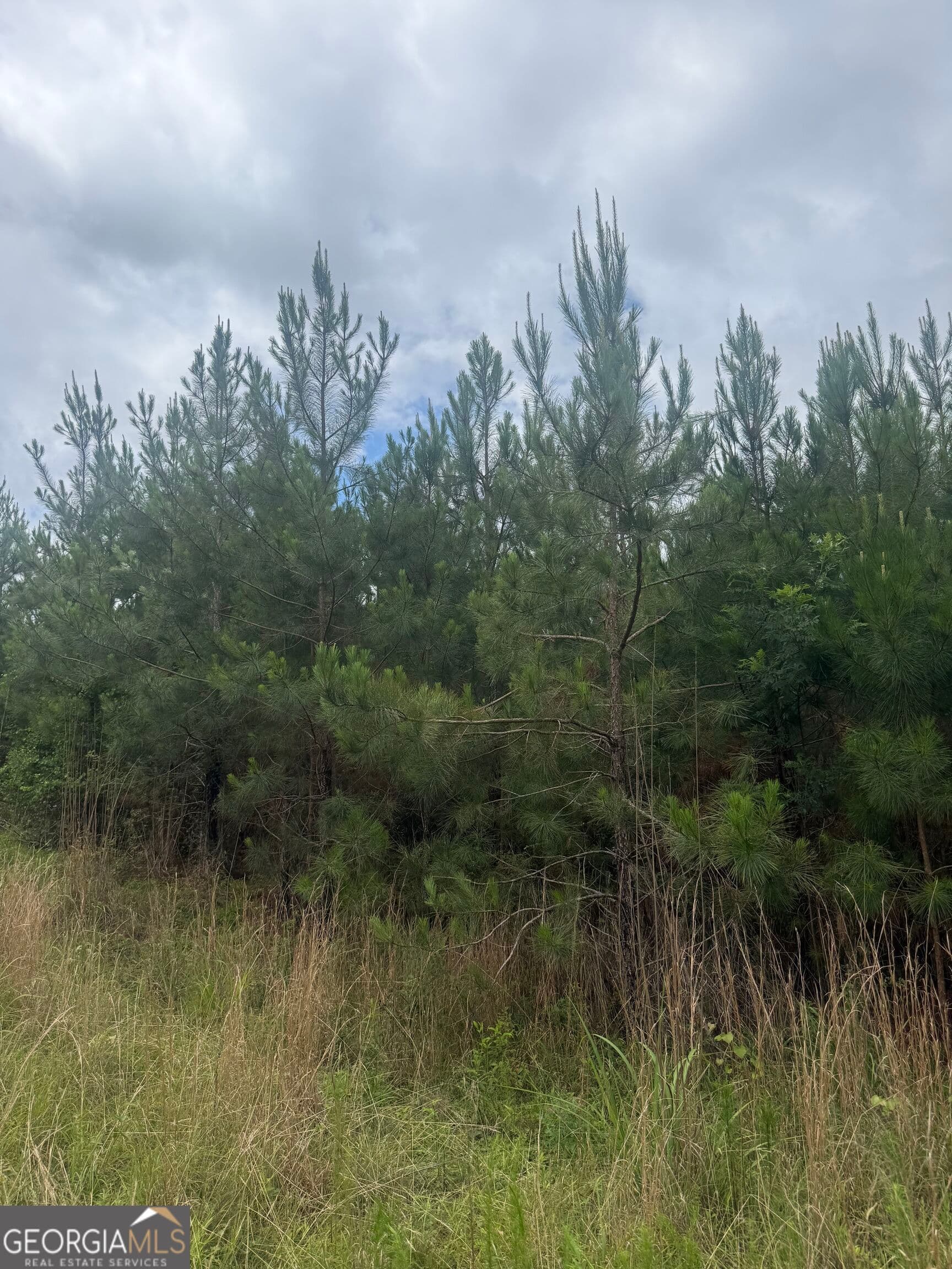 unimproved land for sale at 0001 Sandy Cross Road, Crawfordville, GA 30631 — photo 2