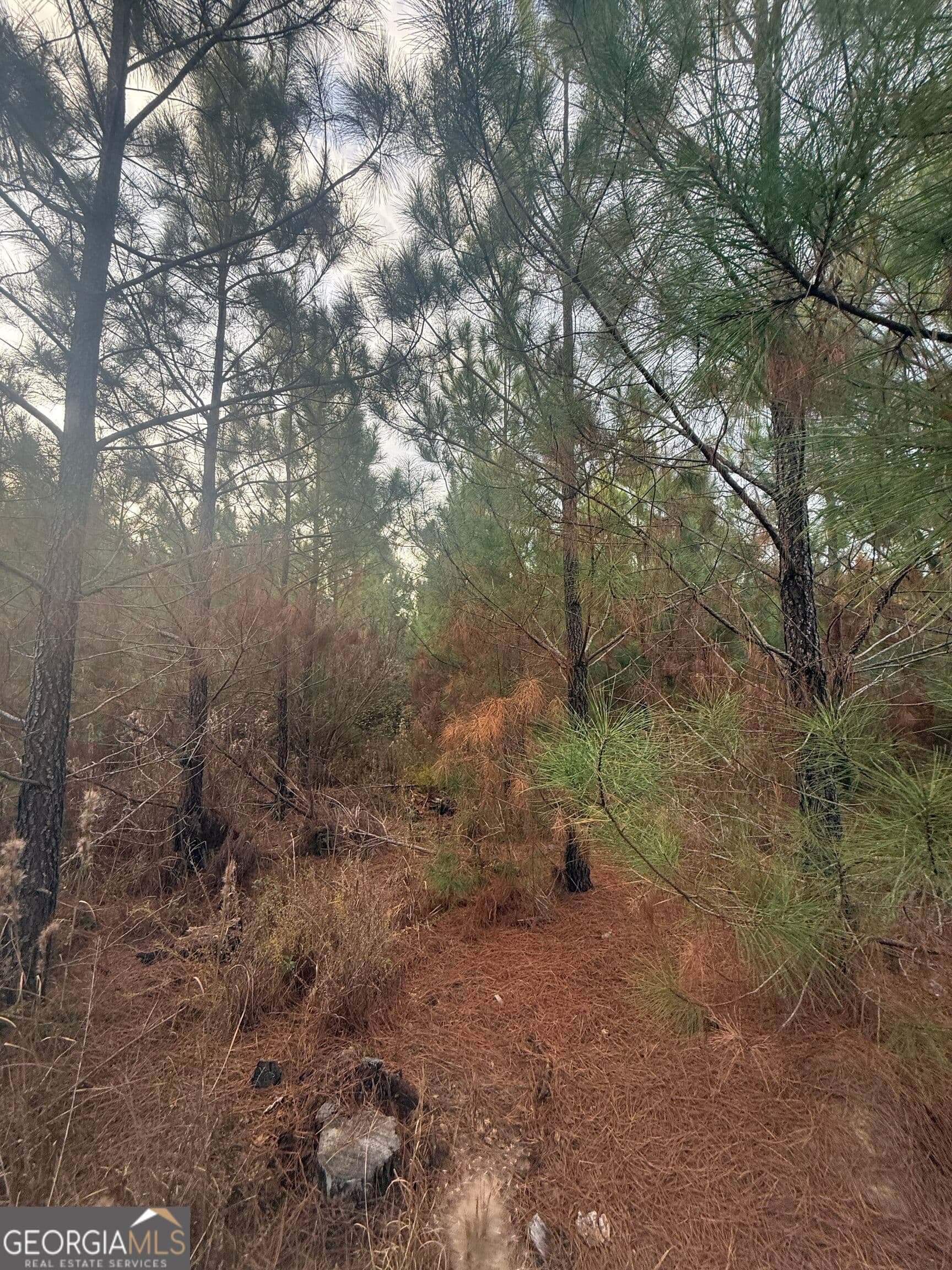 unimproved land for sale at 0001 Sandy Cross Road, Crawfordville, GA 30631 — photo 6
