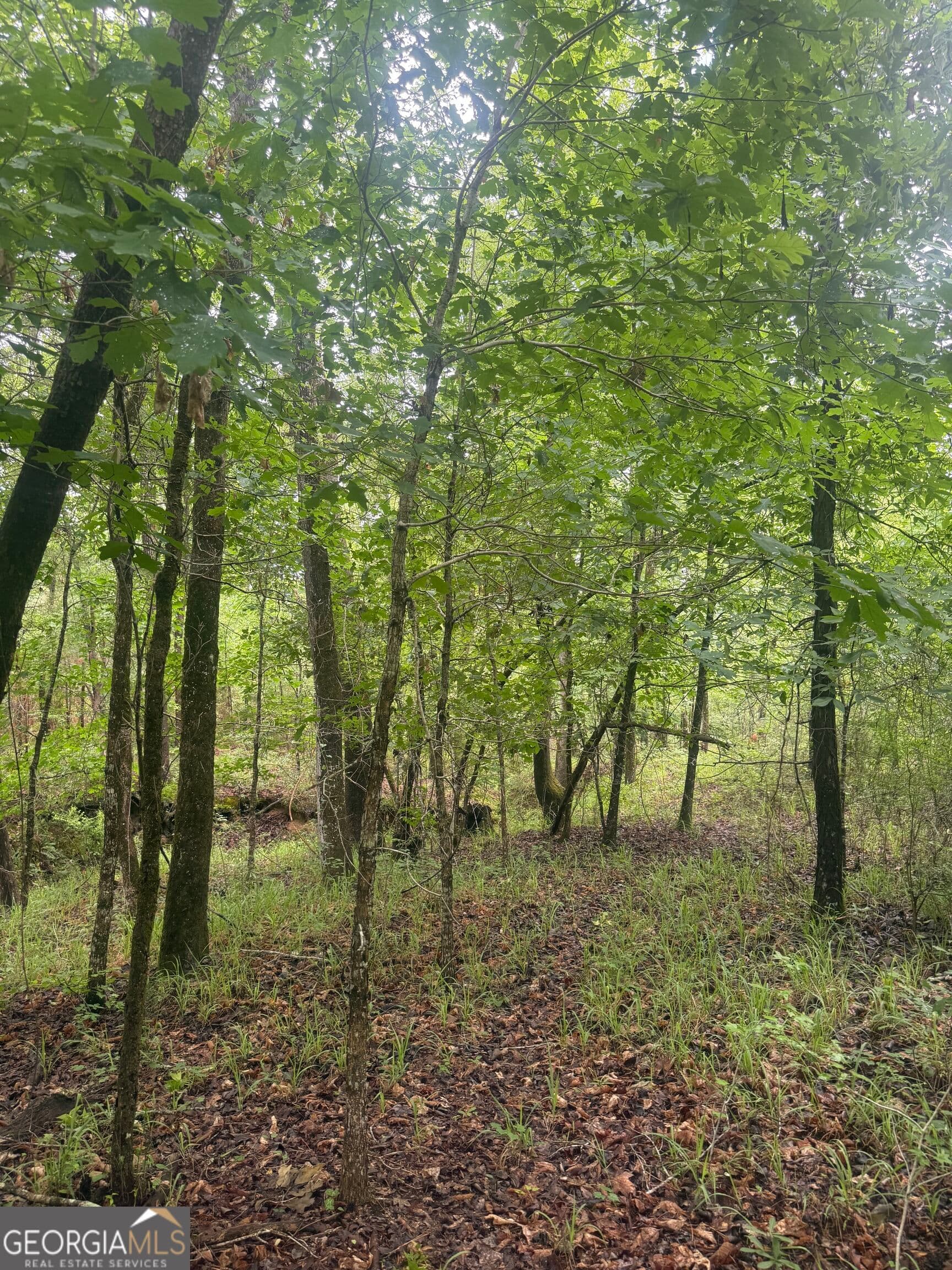 unimproved land for sale at 0001 Sandy Cross Road, Crawfordville, GA 30631 — photo 3