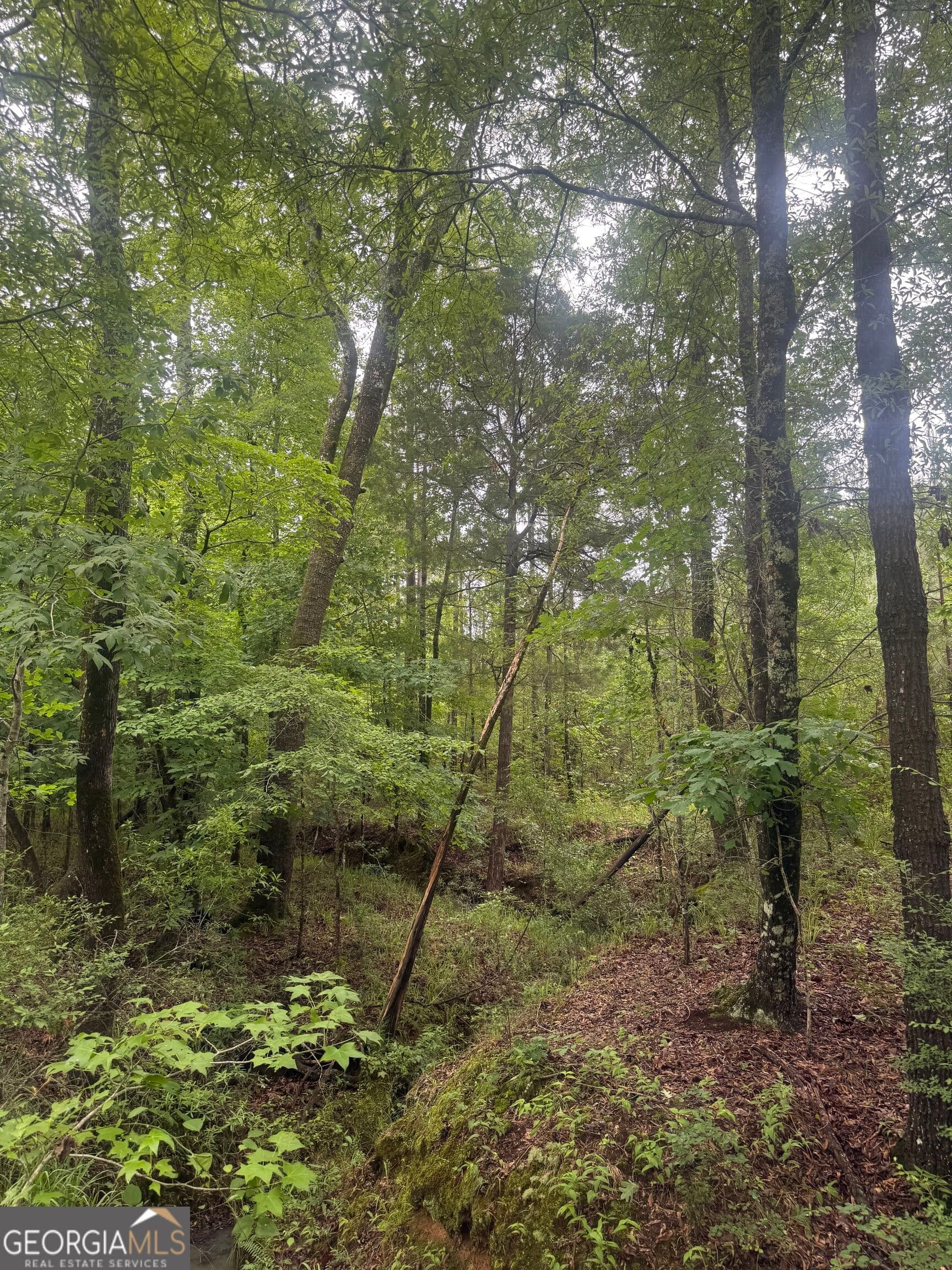 unimproved land for sale at 0001 Sandy Cross Road, Crawfordville, GA 30631 — photo 1 of 6
