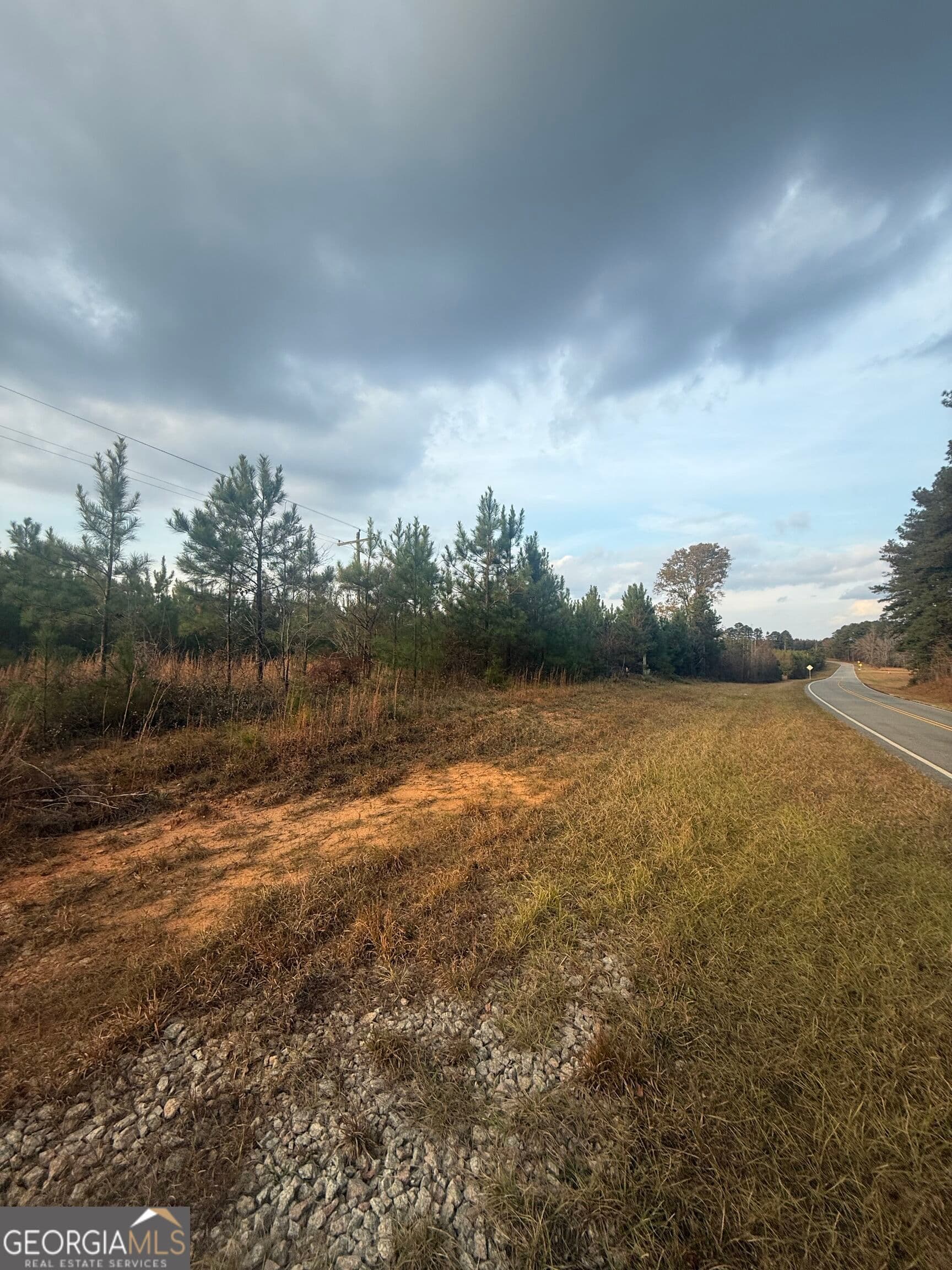 unimproved land for sale at 0001 Sandy Cross Road, Crawfordville, GA 30631 — photo 5