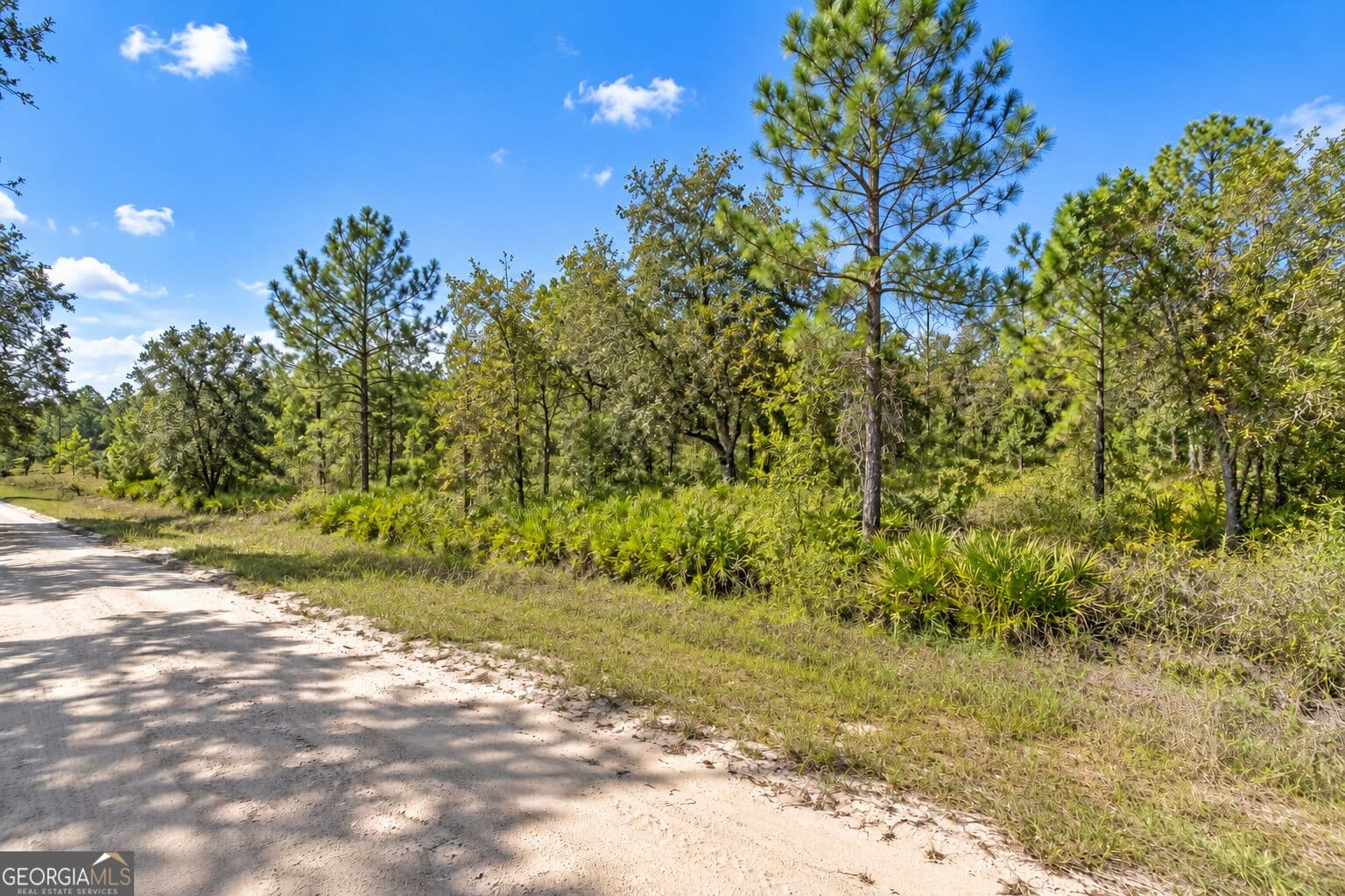 agriculture for sale at 1.24 ACRES Sink Hole Road, Fort Meade, FL 33841 — photo 2