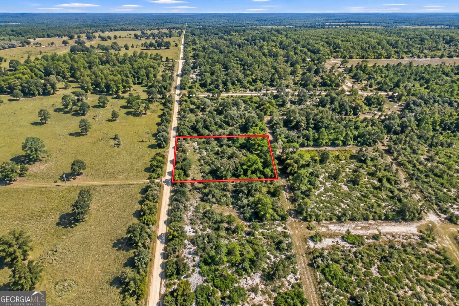 agriculture for sale at 1.24 ACRES Sink Hole Road, Fort Meade, FL 33841 — photo 1 of 7