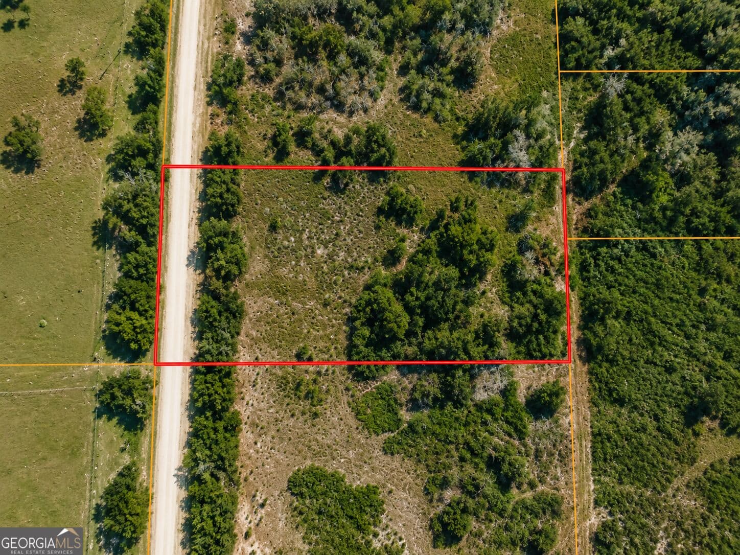 agriculture for sale at 1.24 ACRES Sink Hole Road, Fort Meade, FL 33841 — photo 5