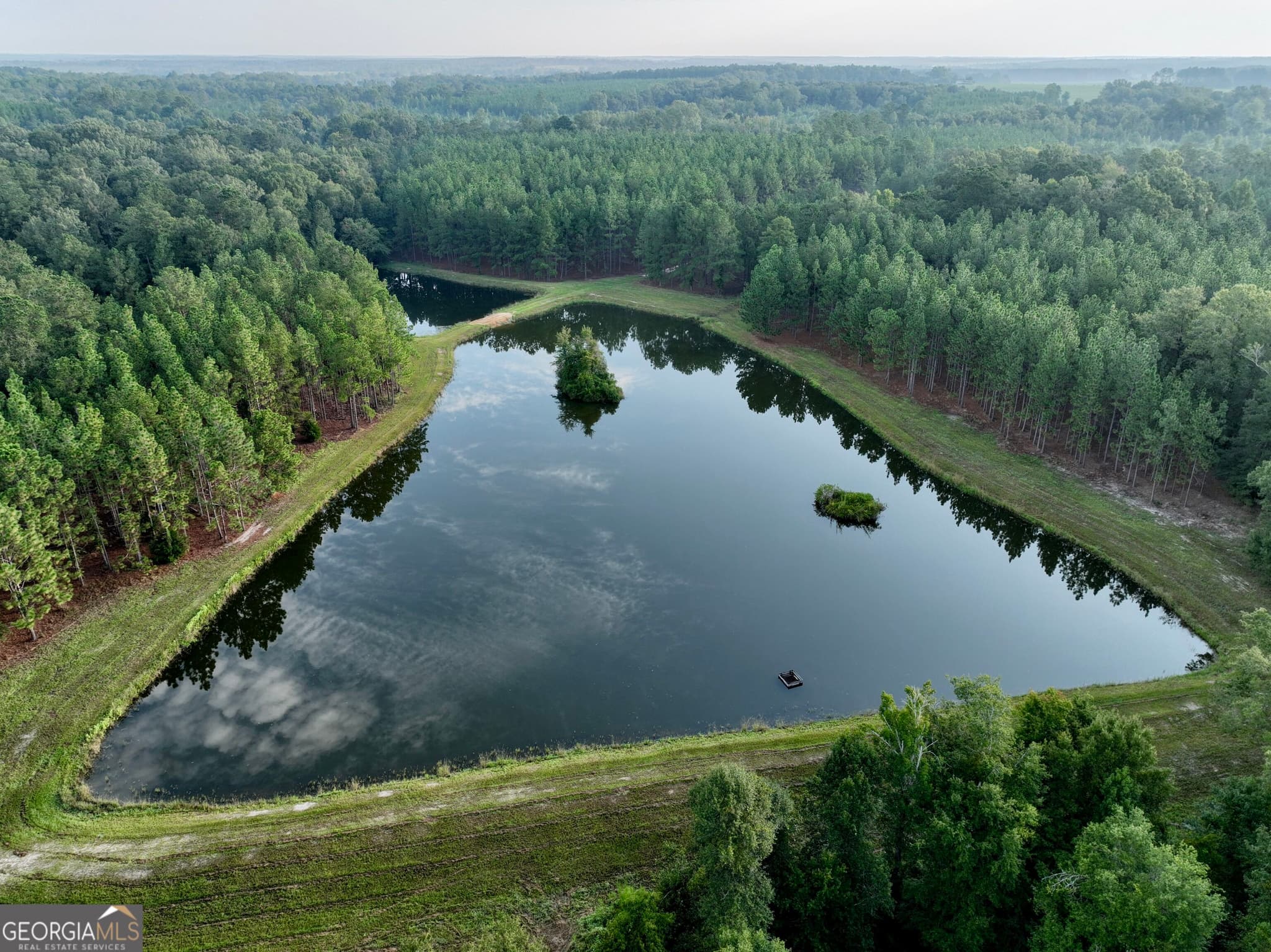 3 bedroom, 2 bathroom, 2,176 sq ft farm for sale at 652 L A Peterson Road, Rhine, GA 31077 — photo 2