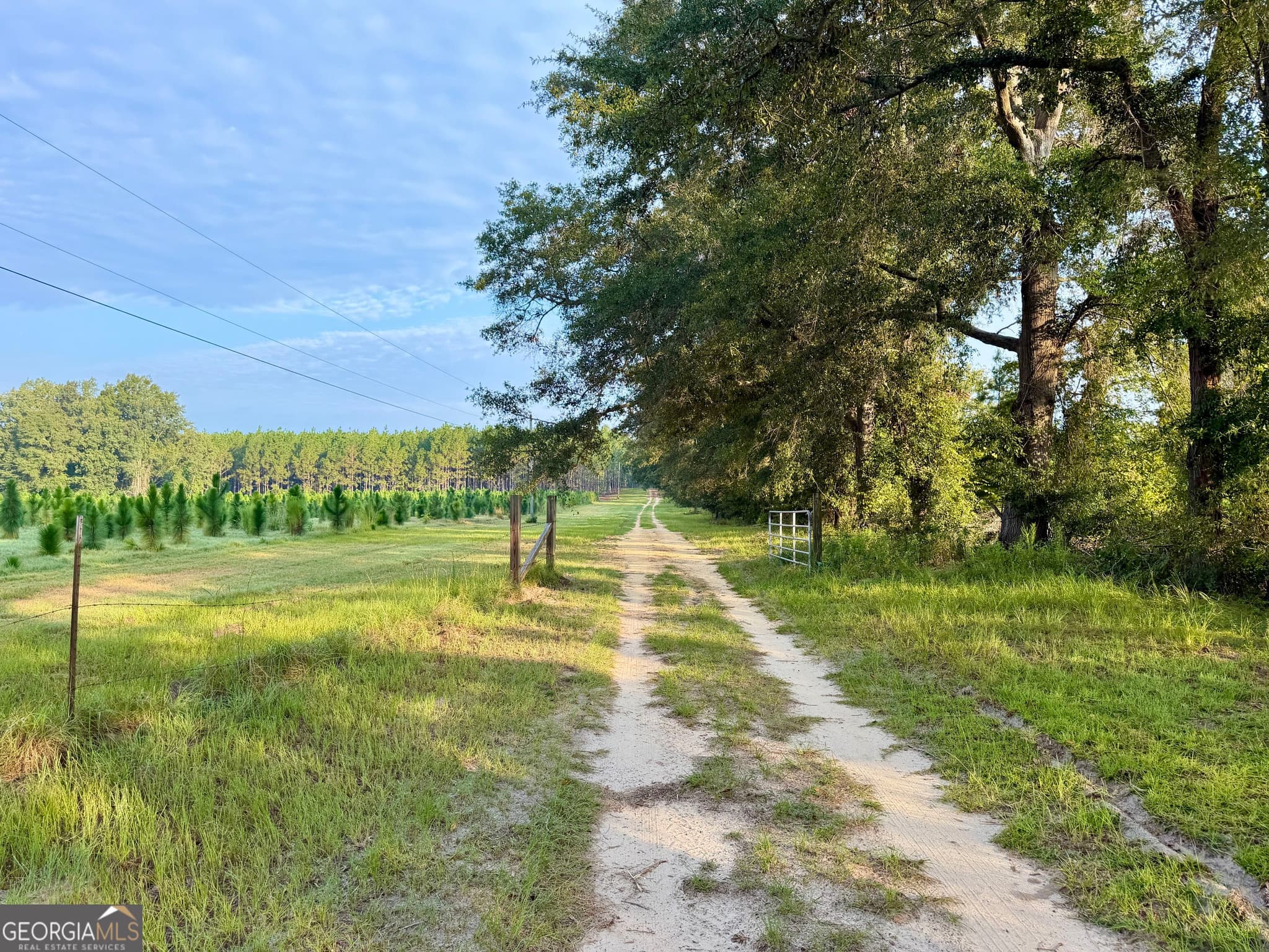 3 bedroom, 2 bathroom, 2,176 sq ft farm for sale at 652 L A Peterson Road, Rhine, GA 31077 — photo 6