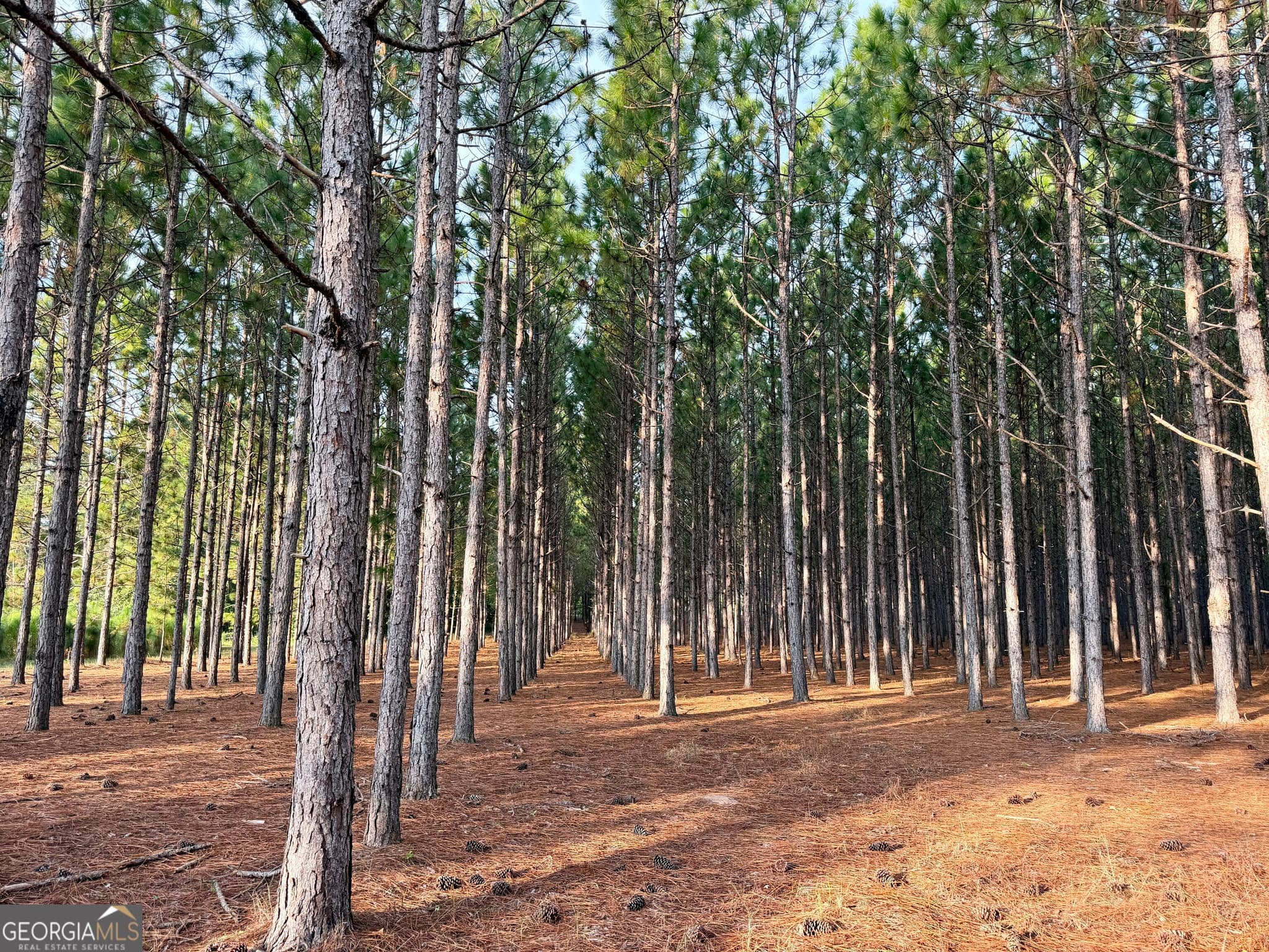 3 bedroom, 2 bathroom, 2,176 sq ft farm for sale at 652 L A Peterson Road, Rhine, GA 31077 — photo 7