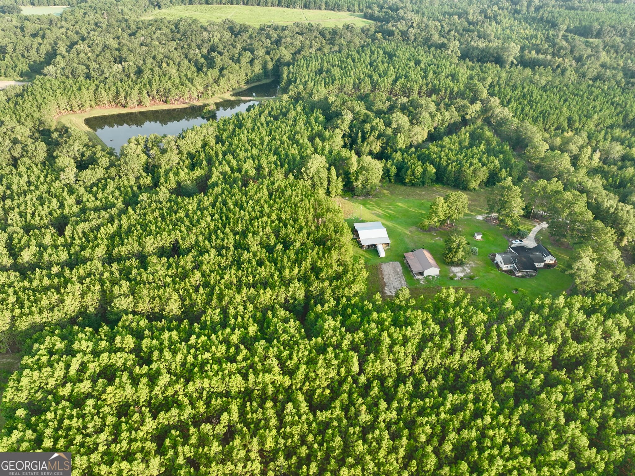 3 bedroom, 2 bathroom, 2,176 sq ft farm for sale at 652 L A Peterson Road, Rhine, GA 31077 — photo 3
