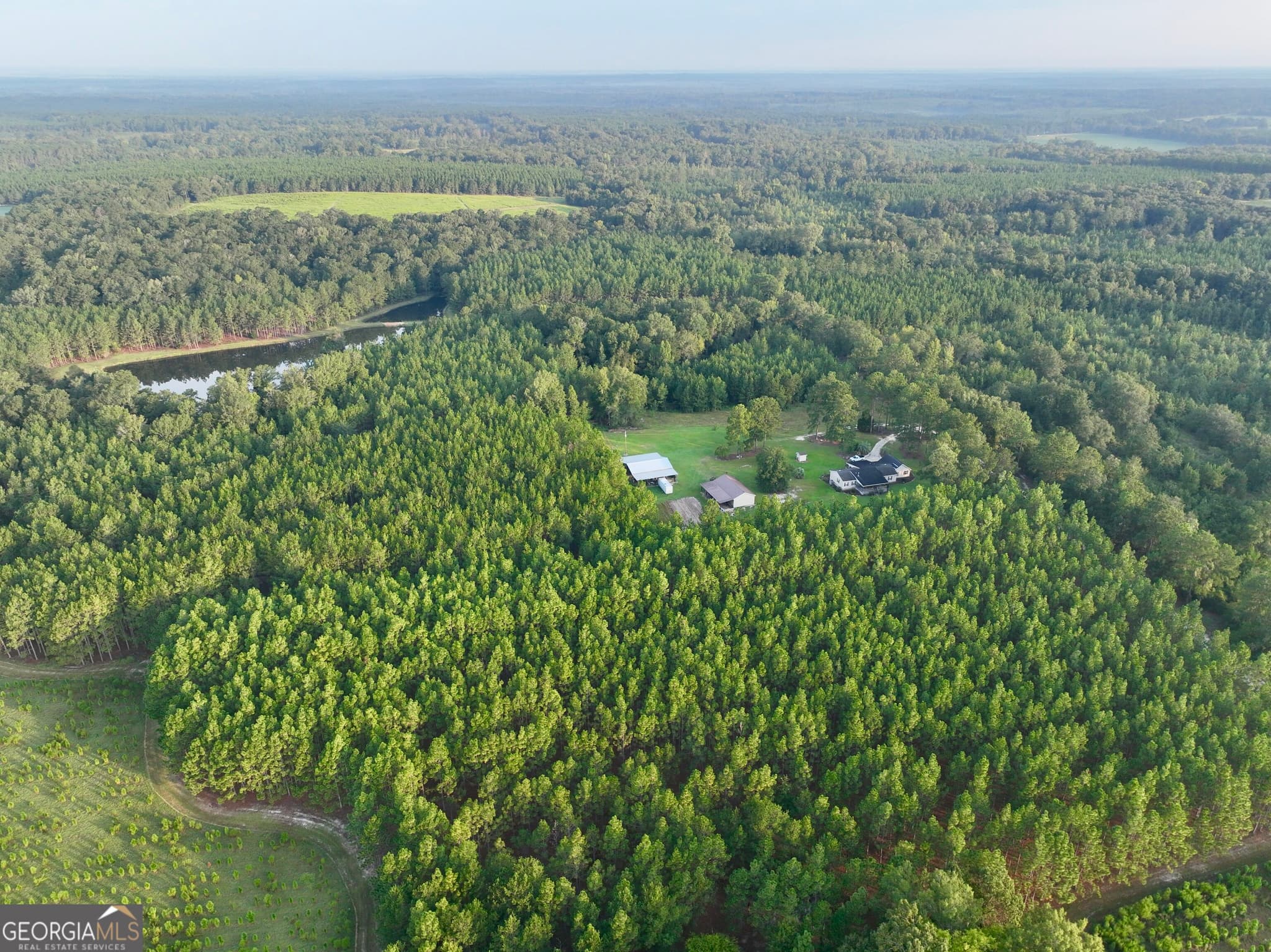 3 bedroom, 2 bathroom, 2,176 sq ft farm for sale at 652 L A Peterson Road, Rhine, GA 31077 — photo 9