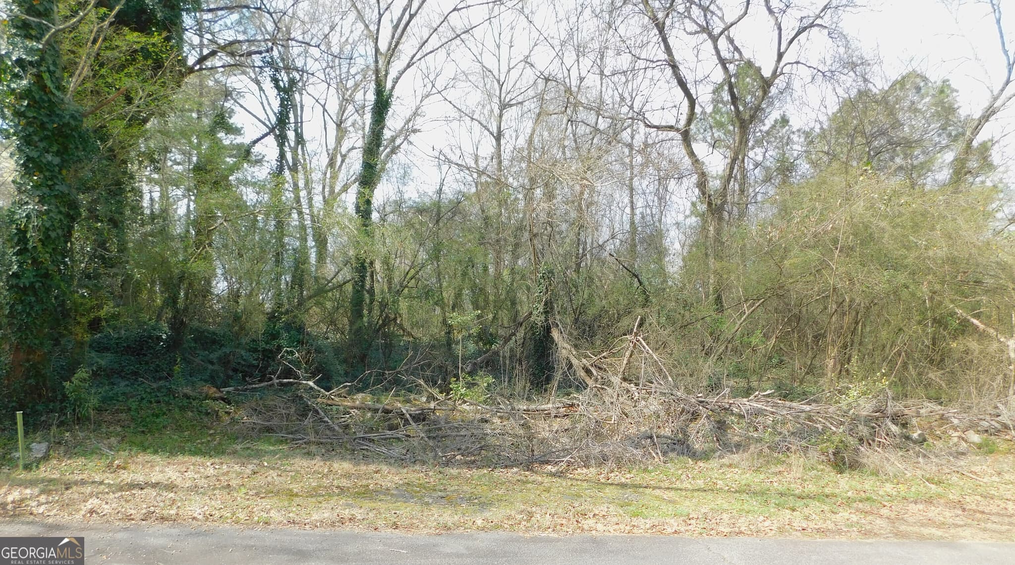 unimproved land for sale at LOT 26,27,28 Herndon Boulevard, Morrow, GA 30260 — photo 1 of 4