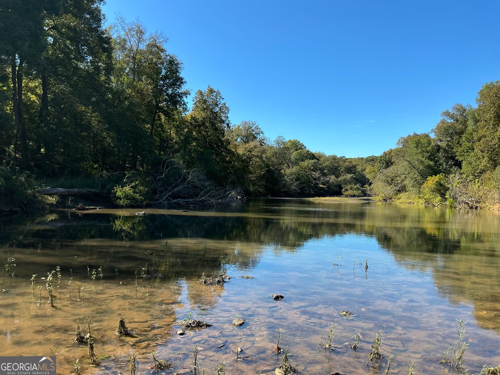 unimproved land for sale at 0 Hwy 36 7, Woodland, GA 31836 — photo 2