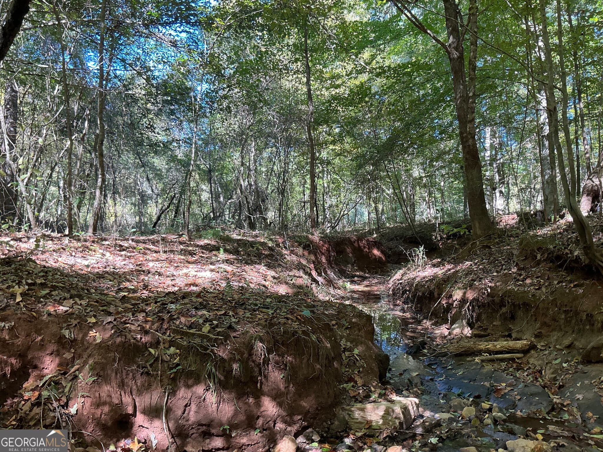unimproved land for sale at 0 Hwy 36 7, Woodland, GA 31836 — photo 6