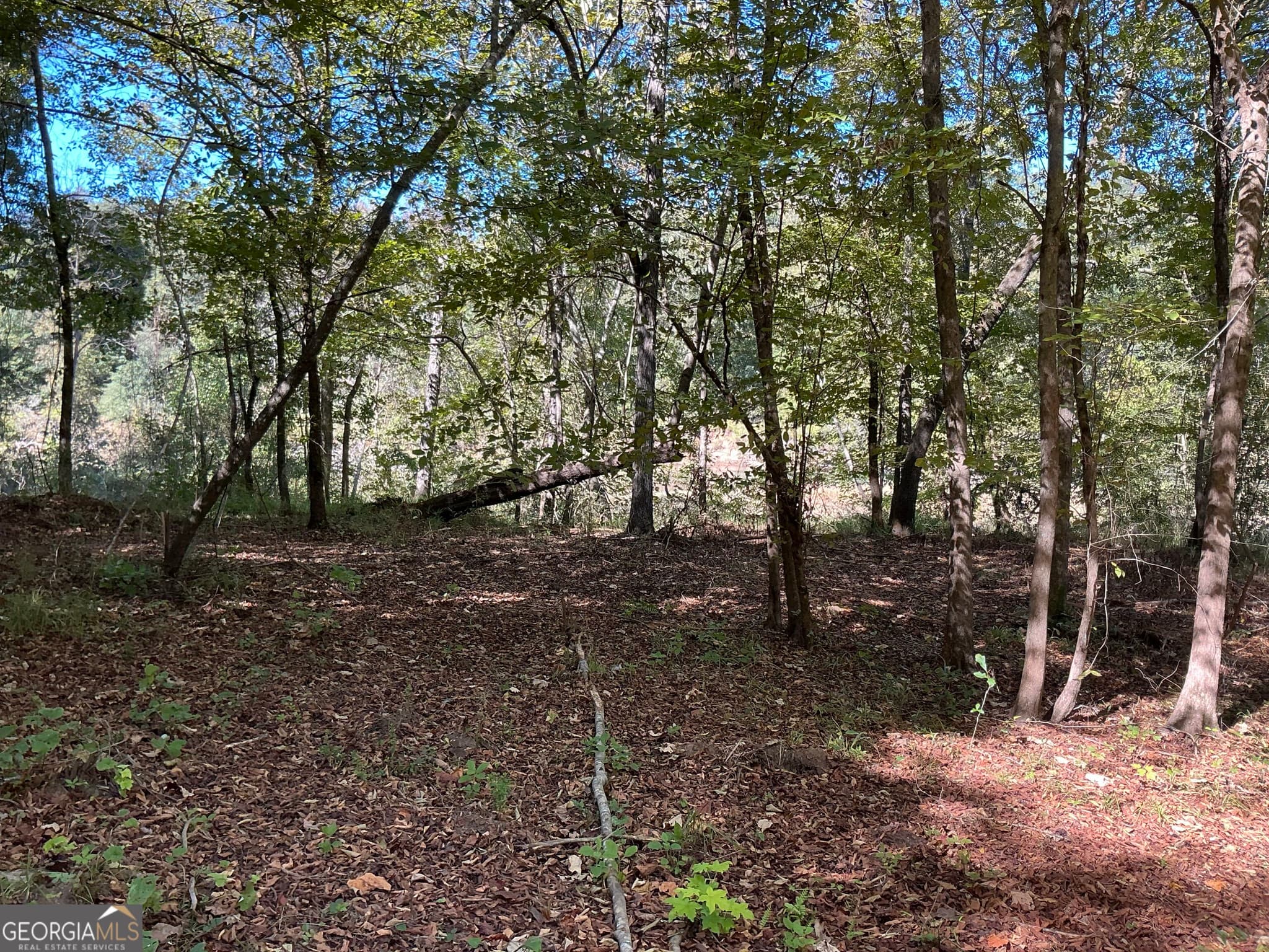 unimproved land for sale at 0 Hwy 36 7, Woodland, GA 31836 — photo 7