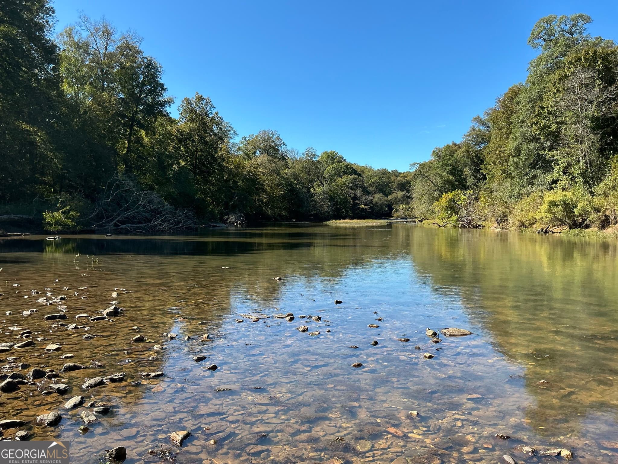 unimproved land for sale at 0 Hwy 36 7, Woodland, GA 31836 — photo 1 of 24