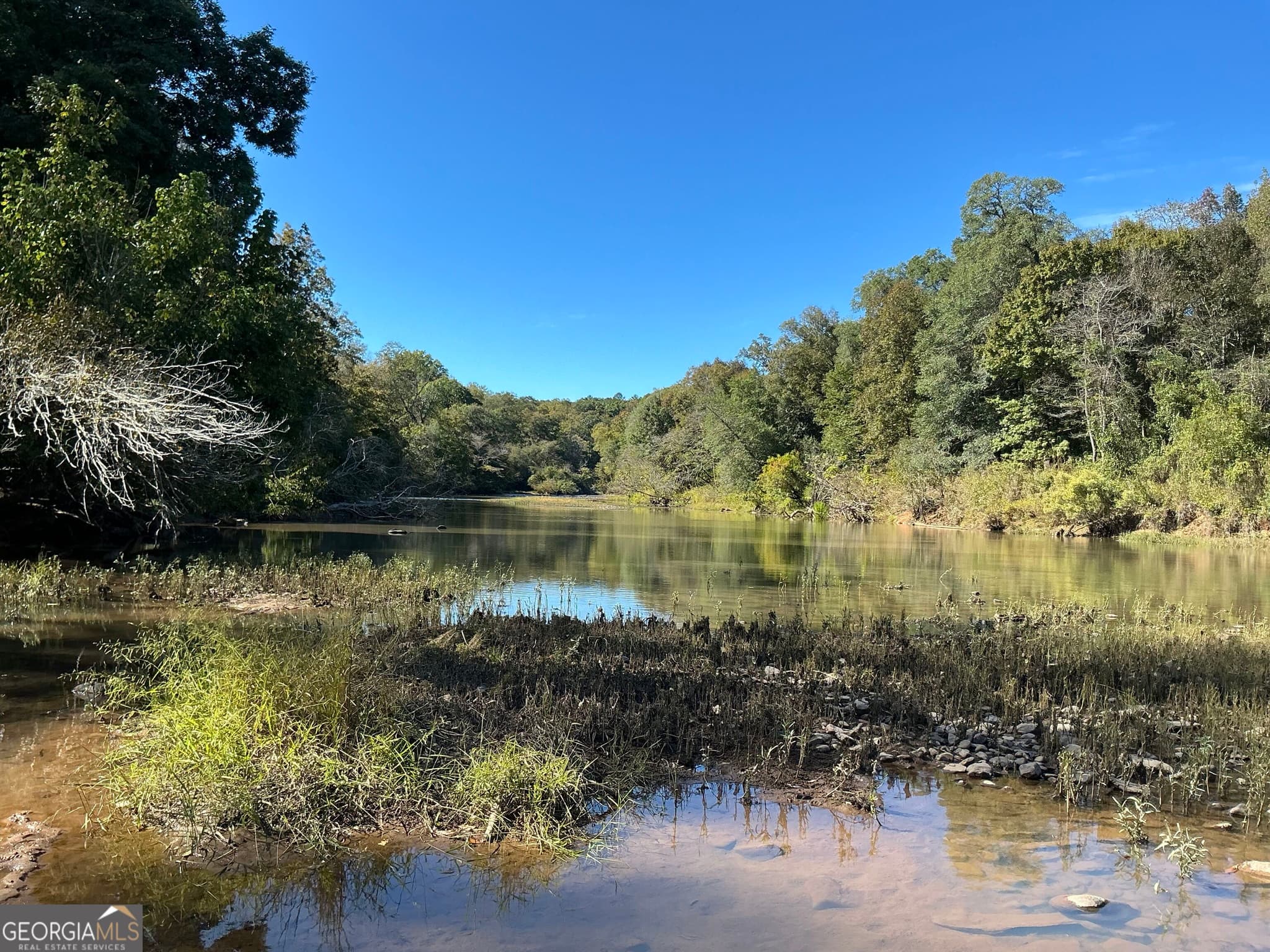 unimproved land for sale at 0 Hwy 36 7, Woodland, GA 31836 — photo 5