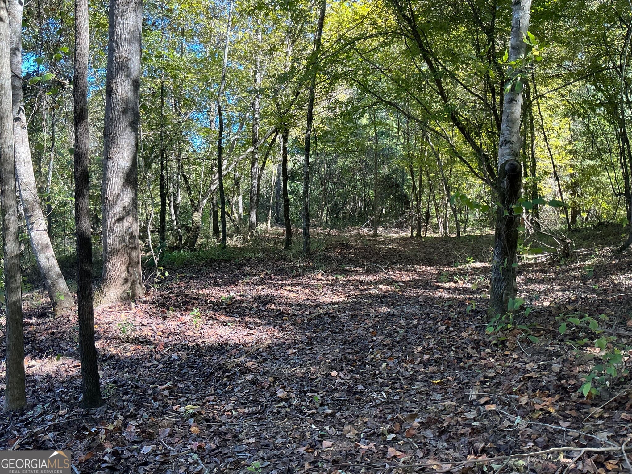 unimproved land for sale at 0 Hwy 36 7, Woodland, GA 31836 — photo 9