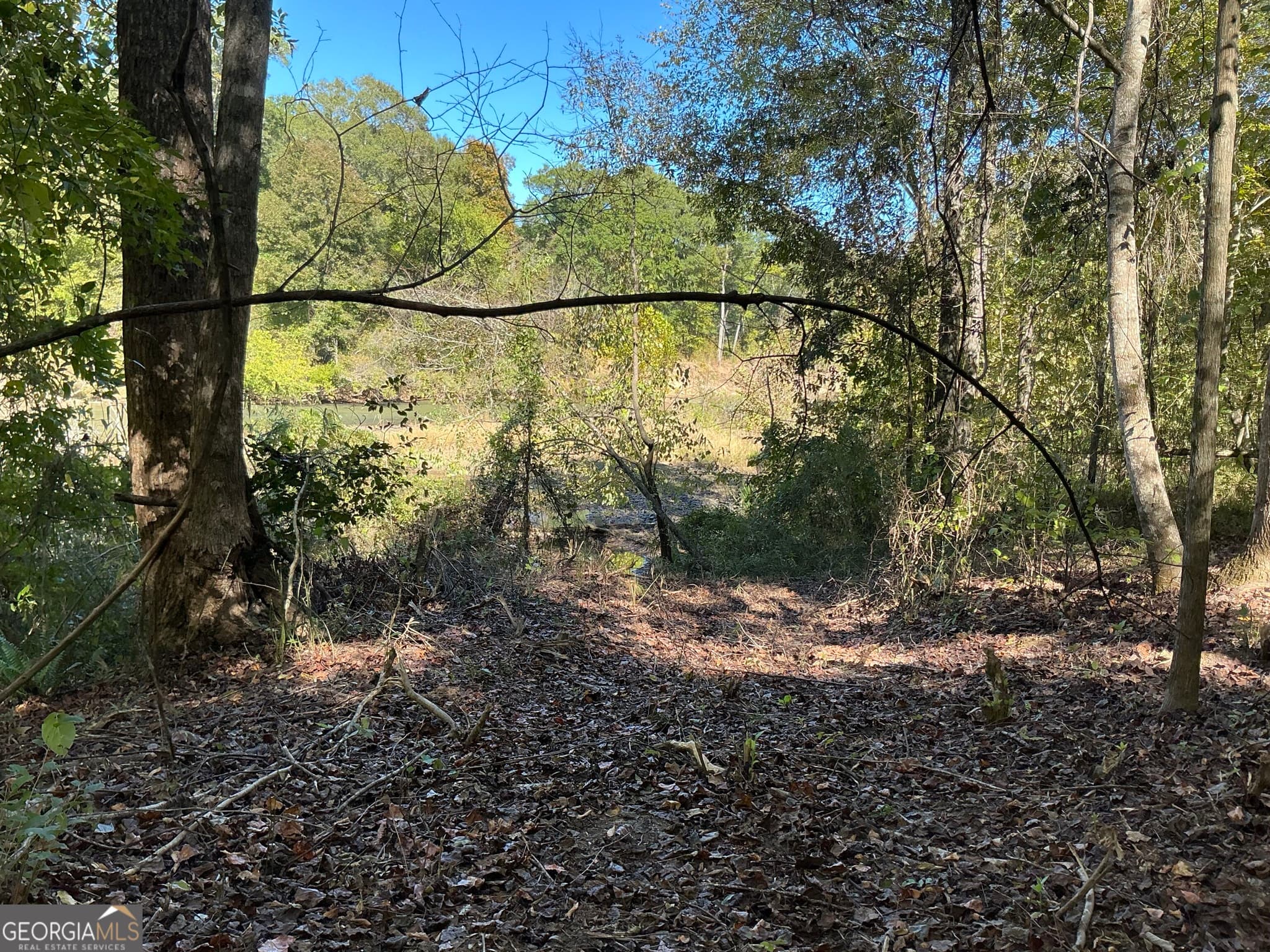 unimproved land for sale at 0 Hwy 36 7, Woodland, GA 31836 — photo 10