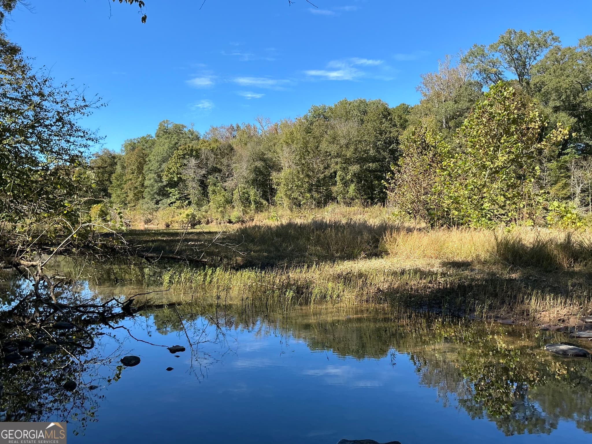 unimproved land for sale at 0 Hwy 36 7, Woodland, GA 31836 — photo 4