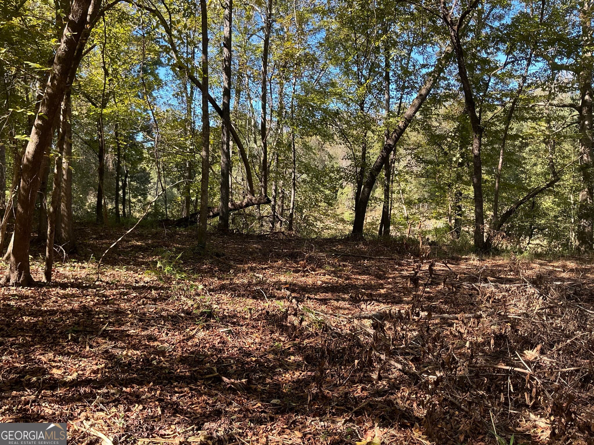 unimproved land for sale at 0 Hwy 36 7, Woodland, GA 31836 — photo 8