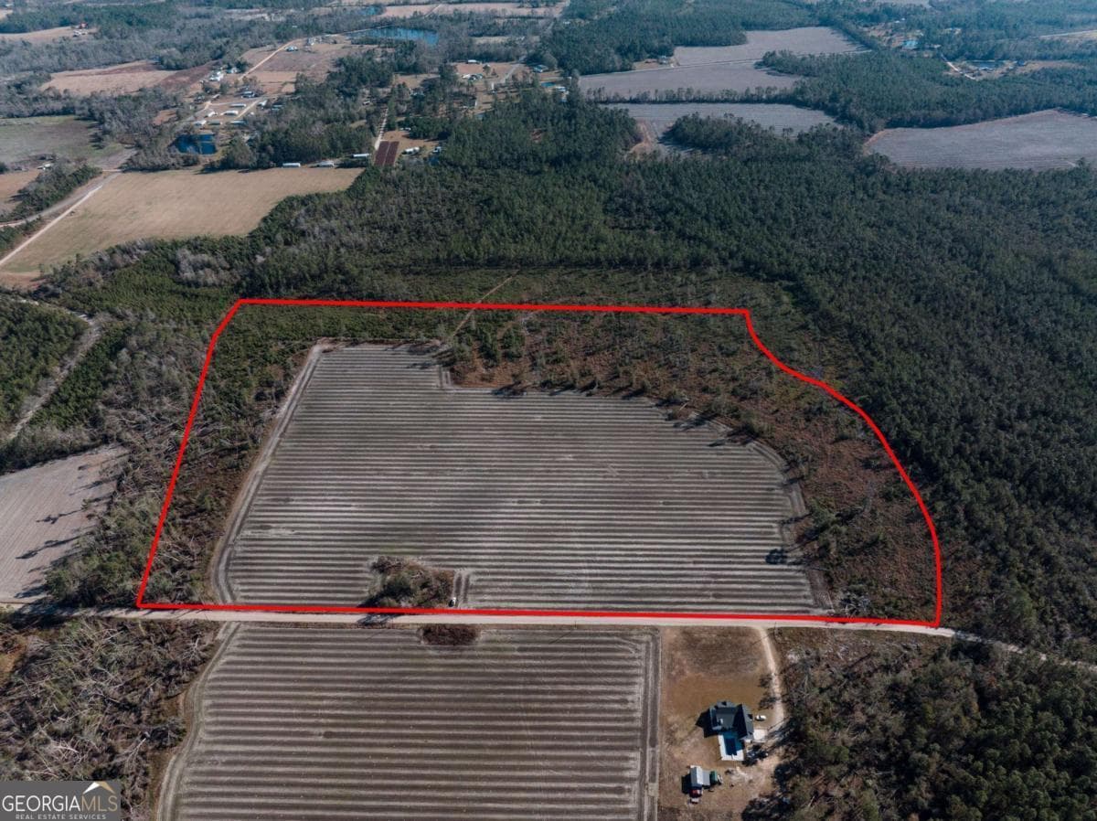 agriculture sold at 0 Chesapeak Road, Alma, GA 31510