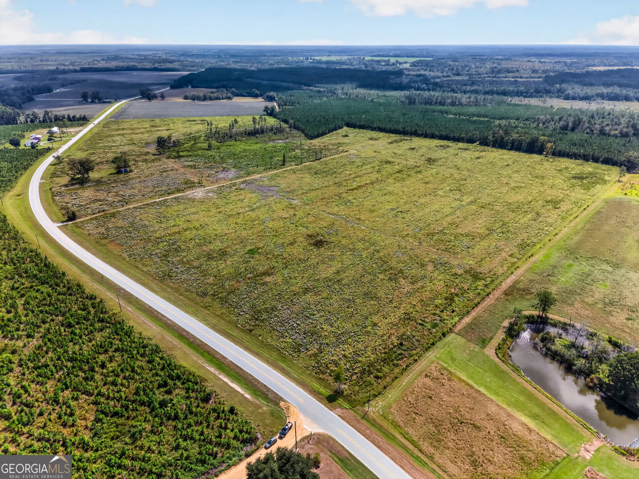 agriculture under contract at TRACT 1 Highway 203, Blackshear, GA 31516 — photo 6