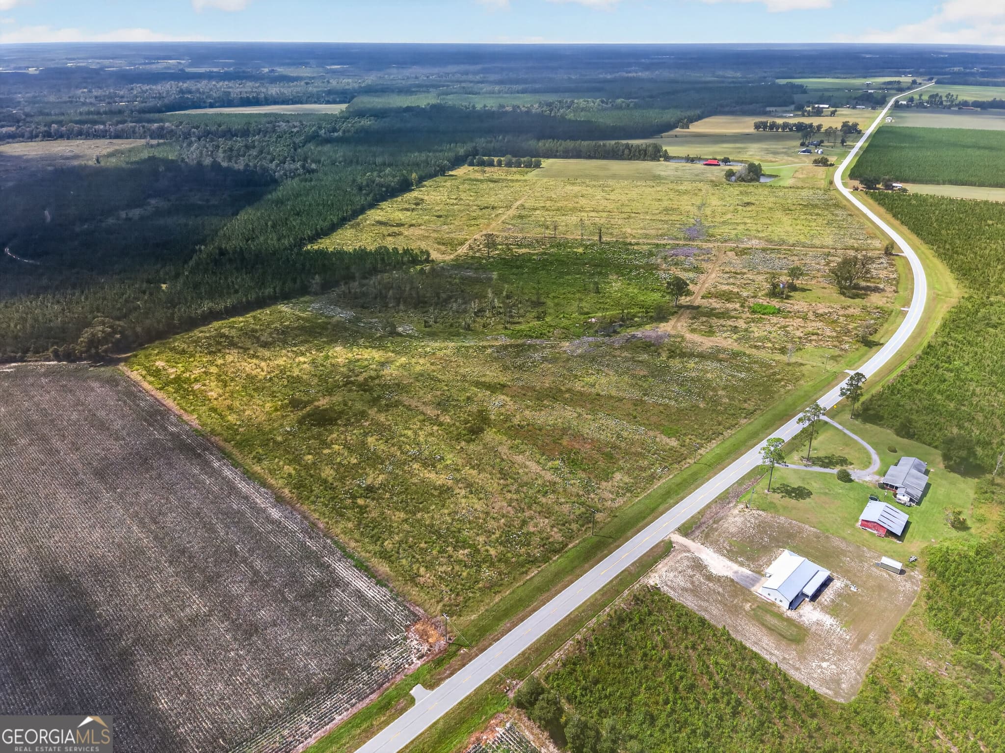agriculture under contract at TRACT 1 Highway 203, Blackshear, GA 31516 — photo 7