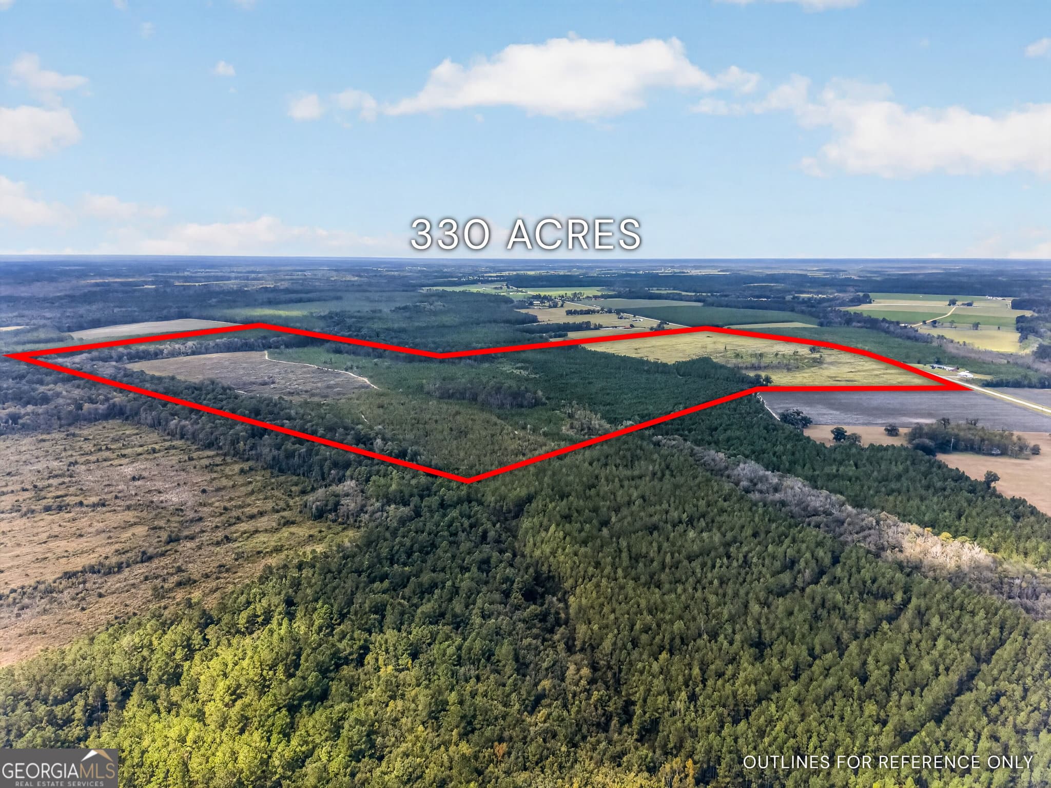 agriculture under contract at TRACT 1 Highway 203, Blackshear, GA 31516 — photo 3