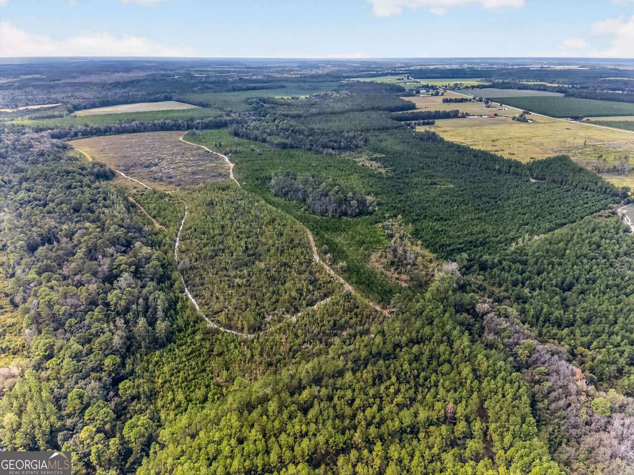 agriculture under contract at TRACT 1 Highway 203, Blackshear, GA 31516 — photo 5