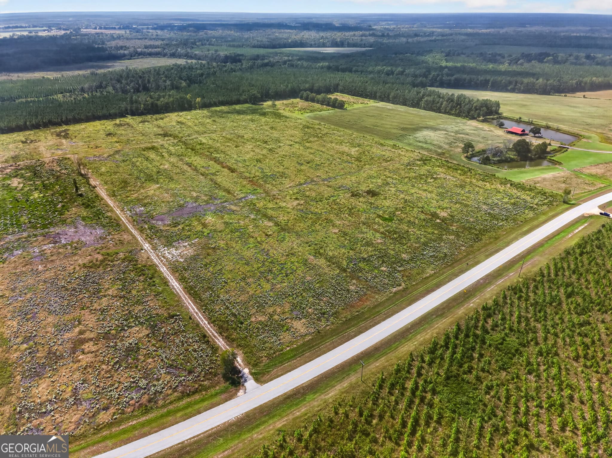 agriculture under contract at TRACT 1 Highway 203, Blackshear, GA 31516 — photo 9