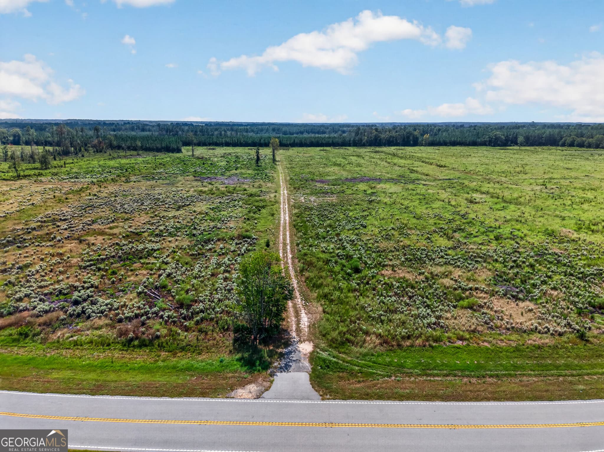 agriculture under contract at TRACT 1 Highway 203, Blackshear, GA 31516 — photo 10