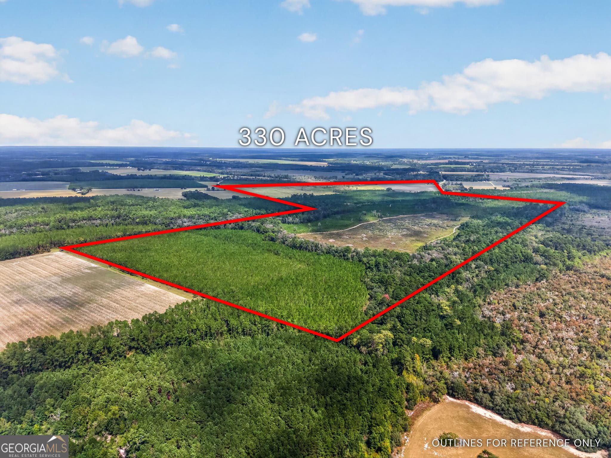 agriculture under contract at TRACT 1 Highway 203, Blackshear, GA 31516 — photo 4