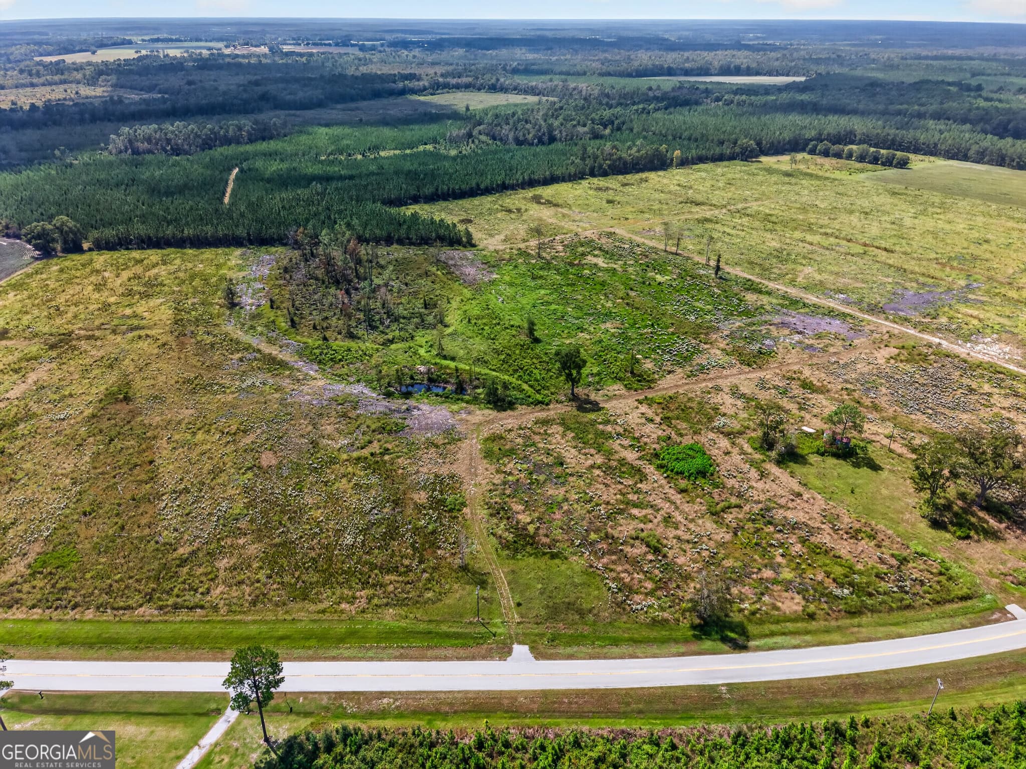 agriculture under contract at TRACT 1 Highway 203, Blackshear, GA 31516 — photo 8
