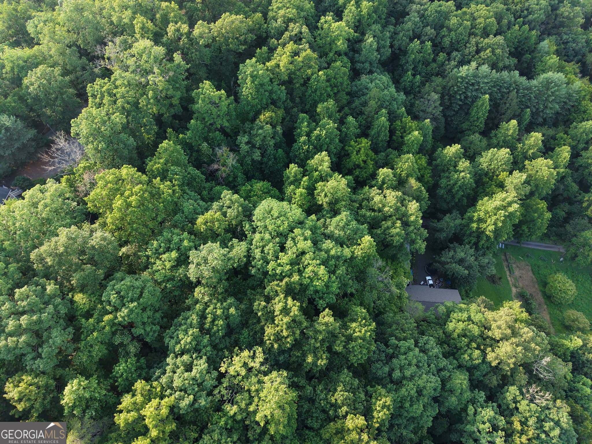 unimproved land for sale at LOT 14 Kilpatrick Point Terrace, Hayesville, NC 28904 — photo 3