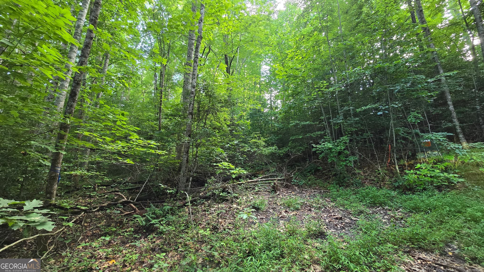 unimproved land for sale at LOT 14 Kilpatrick Point Terrace, Hayesville, NC 28904 — photo 1 of 5