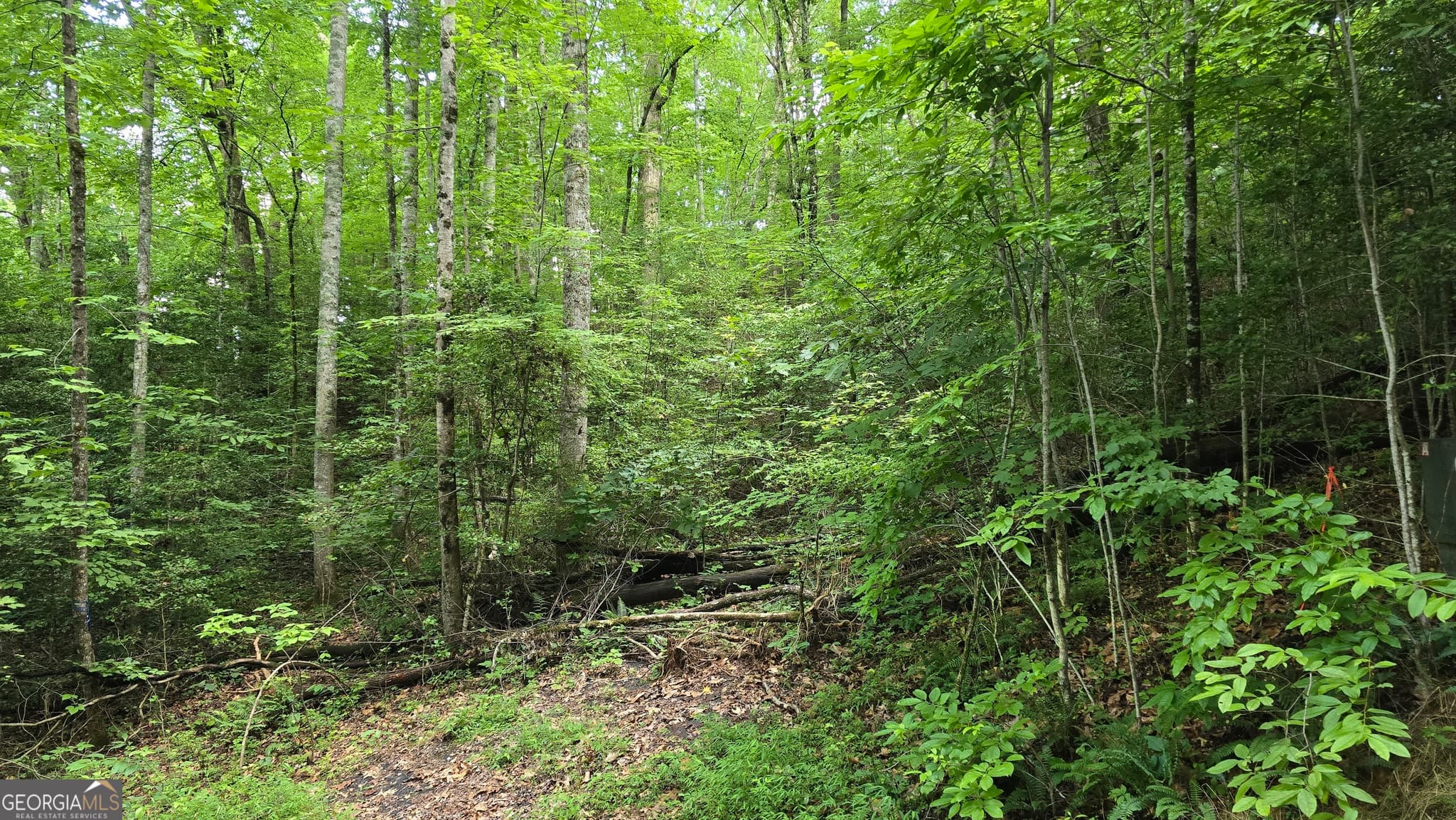 unimproved land for sale at LOT 14 Kilpatrick Point Terrace, Hayesville, NC 28904 — photo 5