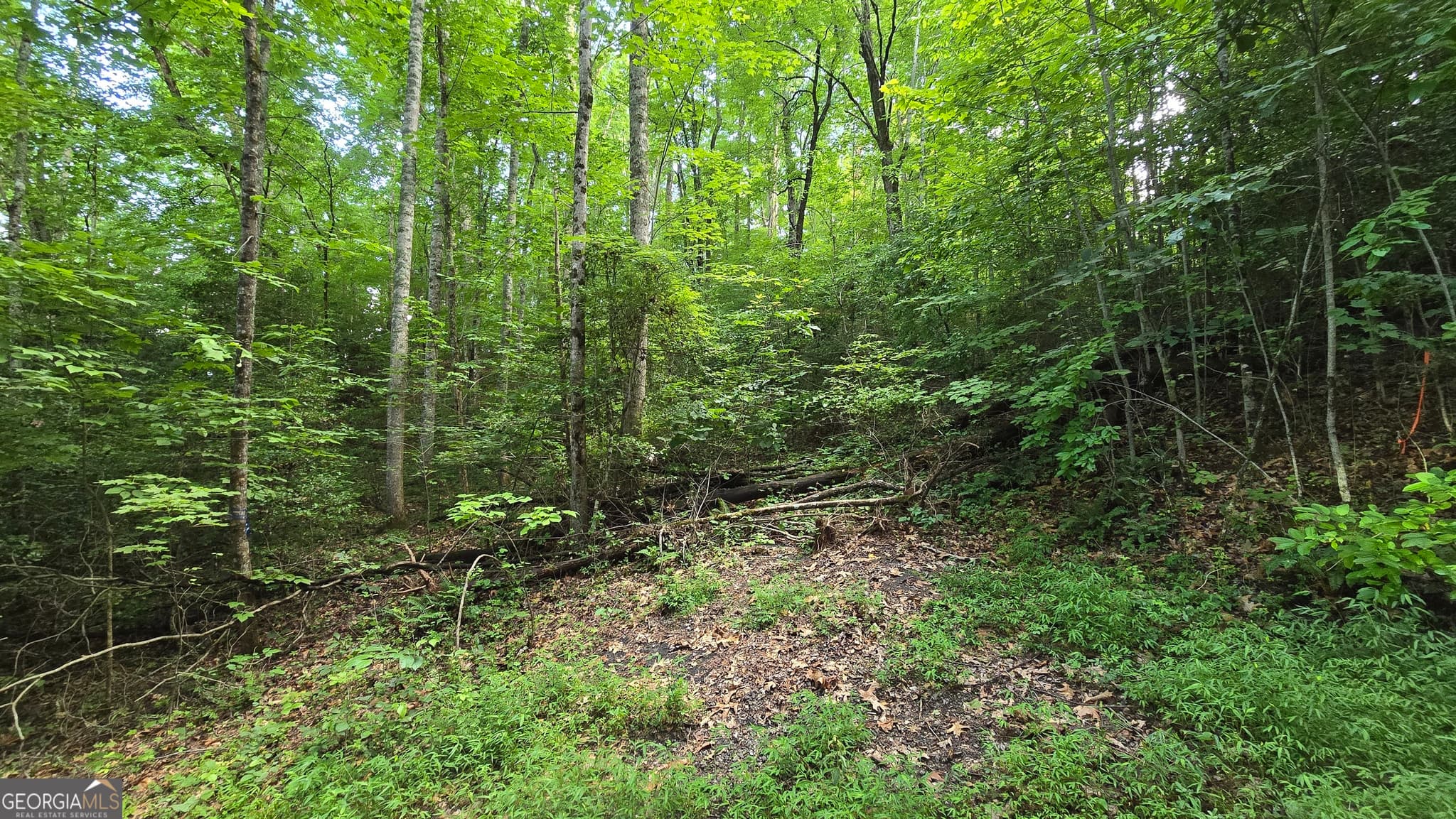 unimproved land for sale at LOT 14 Kilpatrick Point Terrace, Hayesville, NC 28904 — photo 4