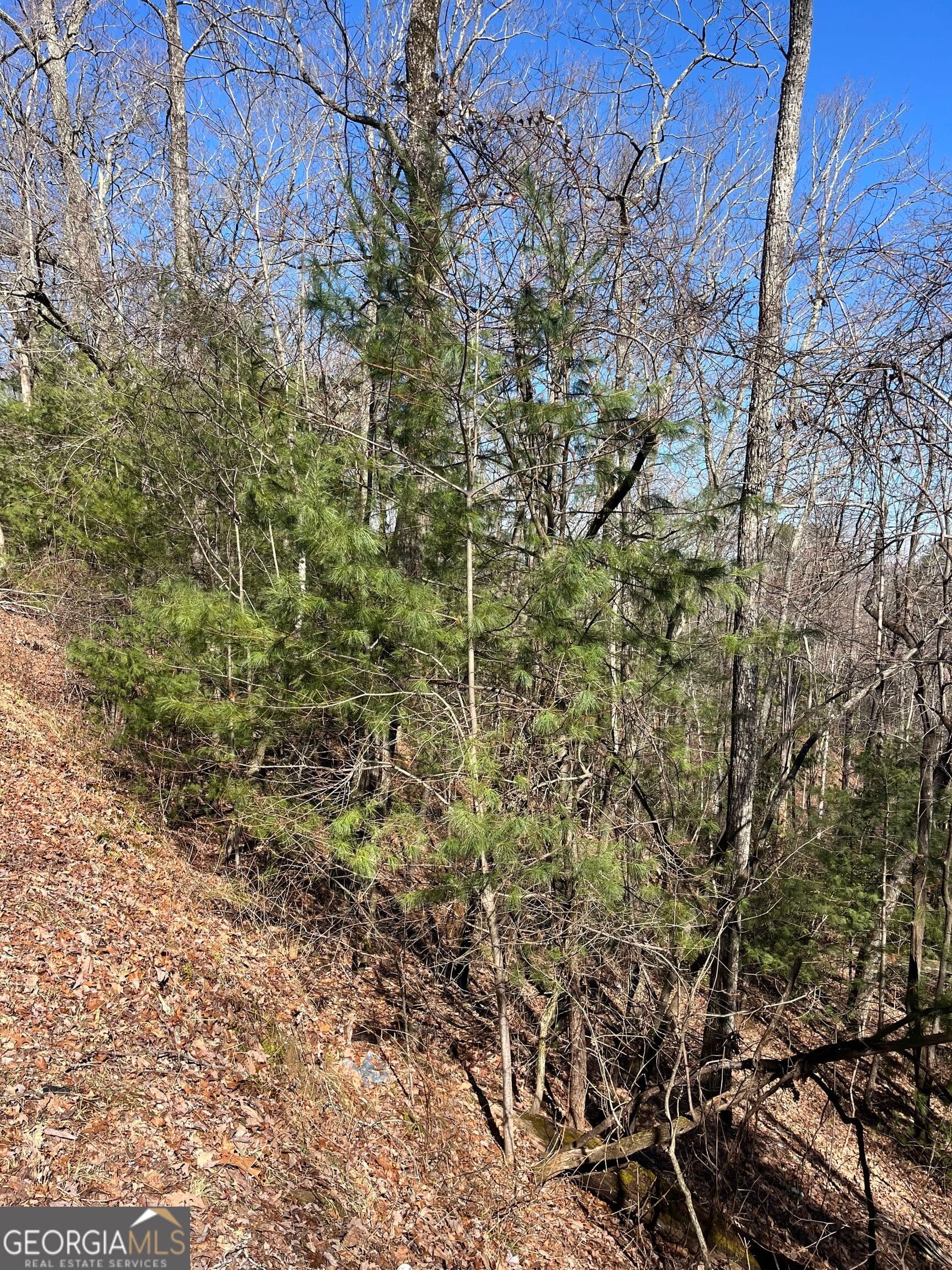 unimproved land for sale at 0 Eastman MTN Road, Tiger, GA 30576 — photo 2