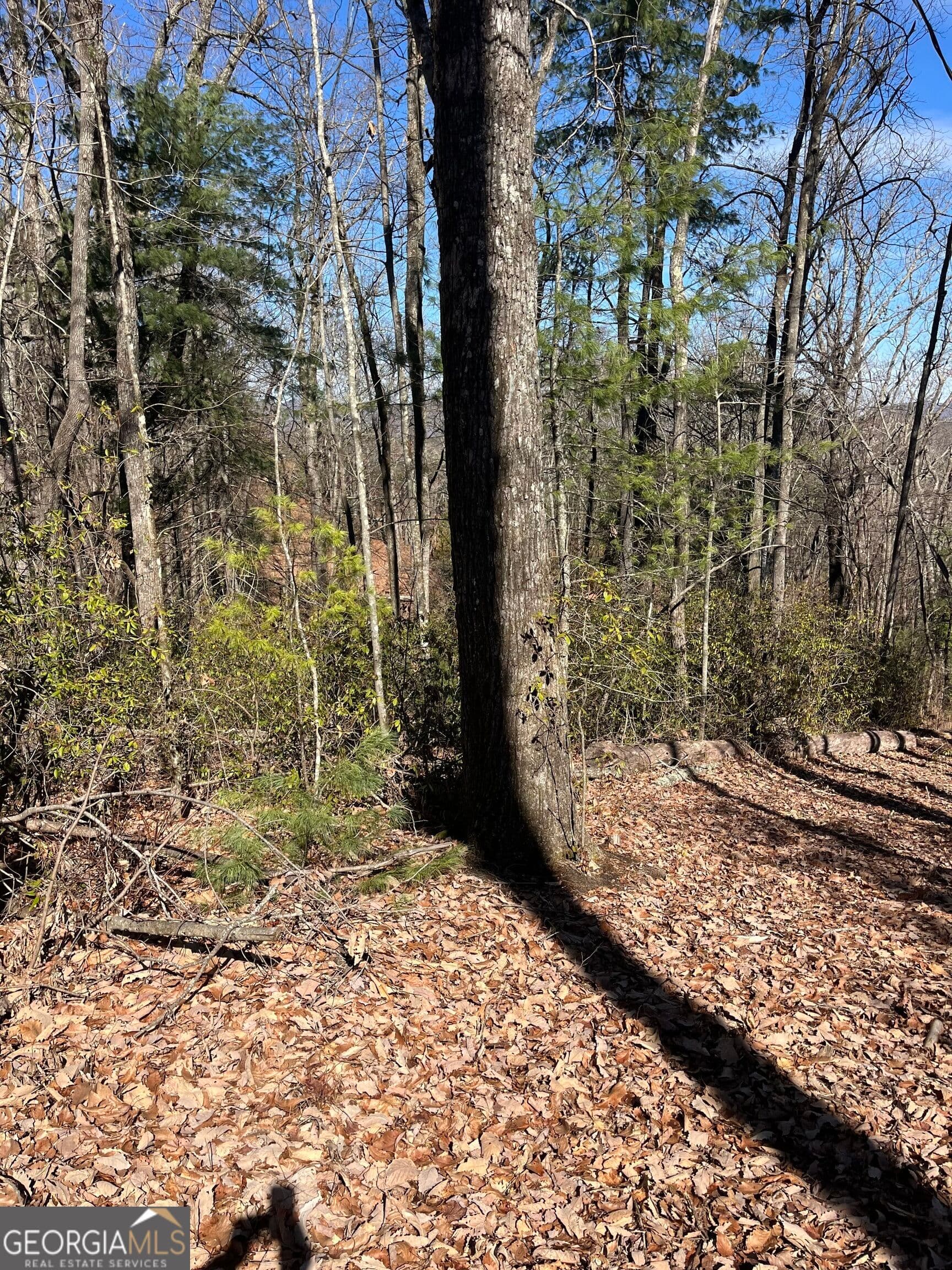 unimproved land for sale at 0 Eastman MTN Road, Tiger, GA 30576 — photo 3