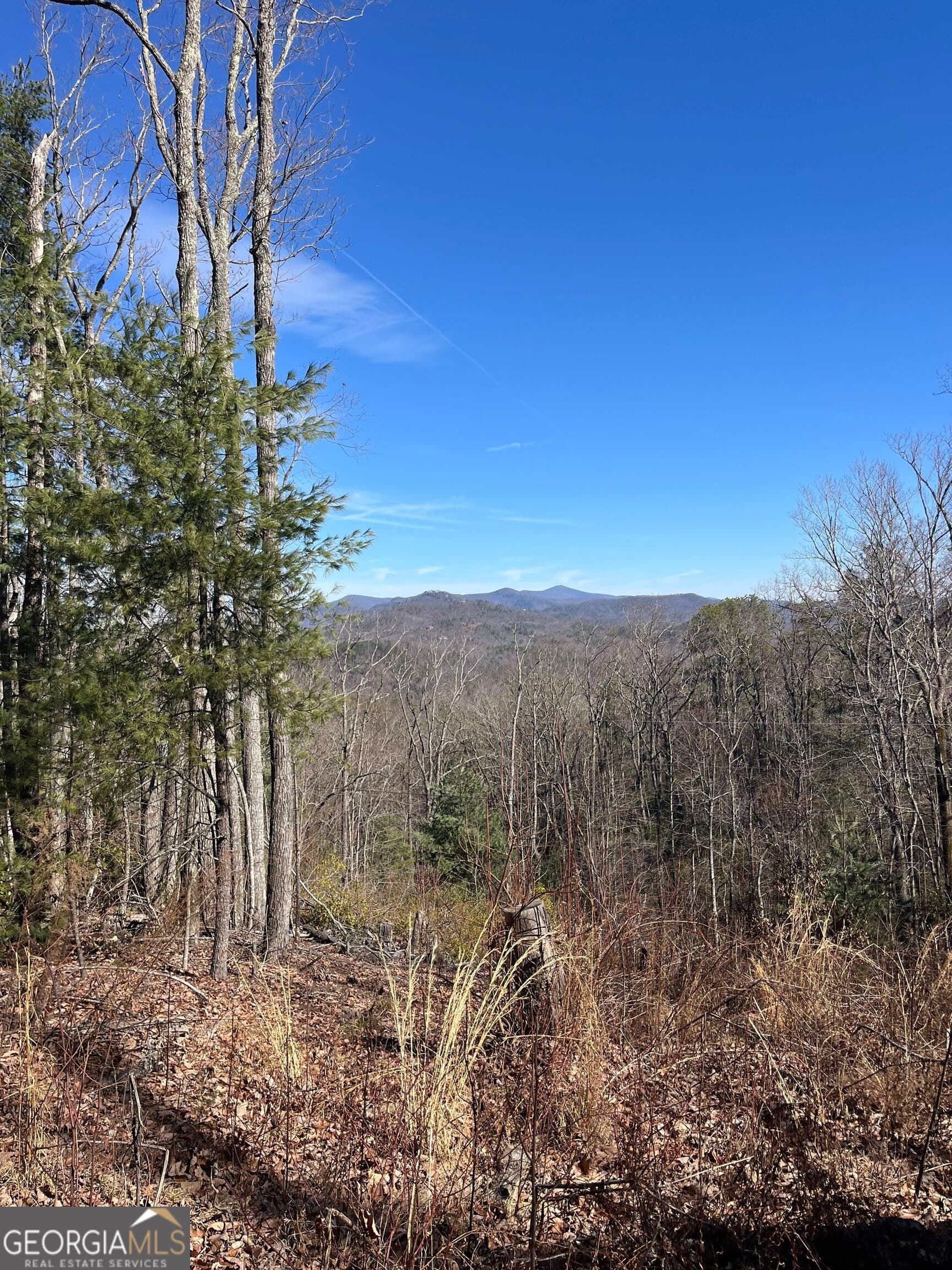 unimproved land for sale at 0 Eastman MTN Road, Tiger, GA 30576 — photo 1 of 3