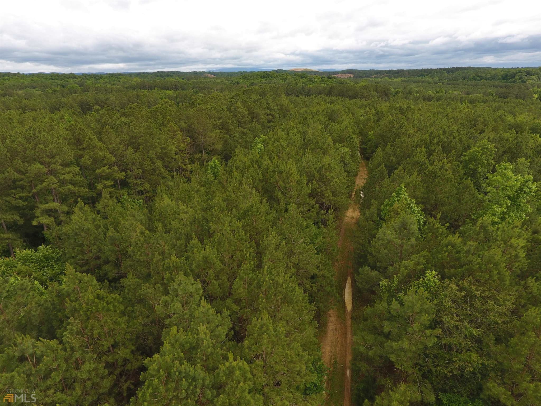 agriculture for sale at 0 Lick Creek Road 9624-C, Ranger, GA 30734 — photo 2