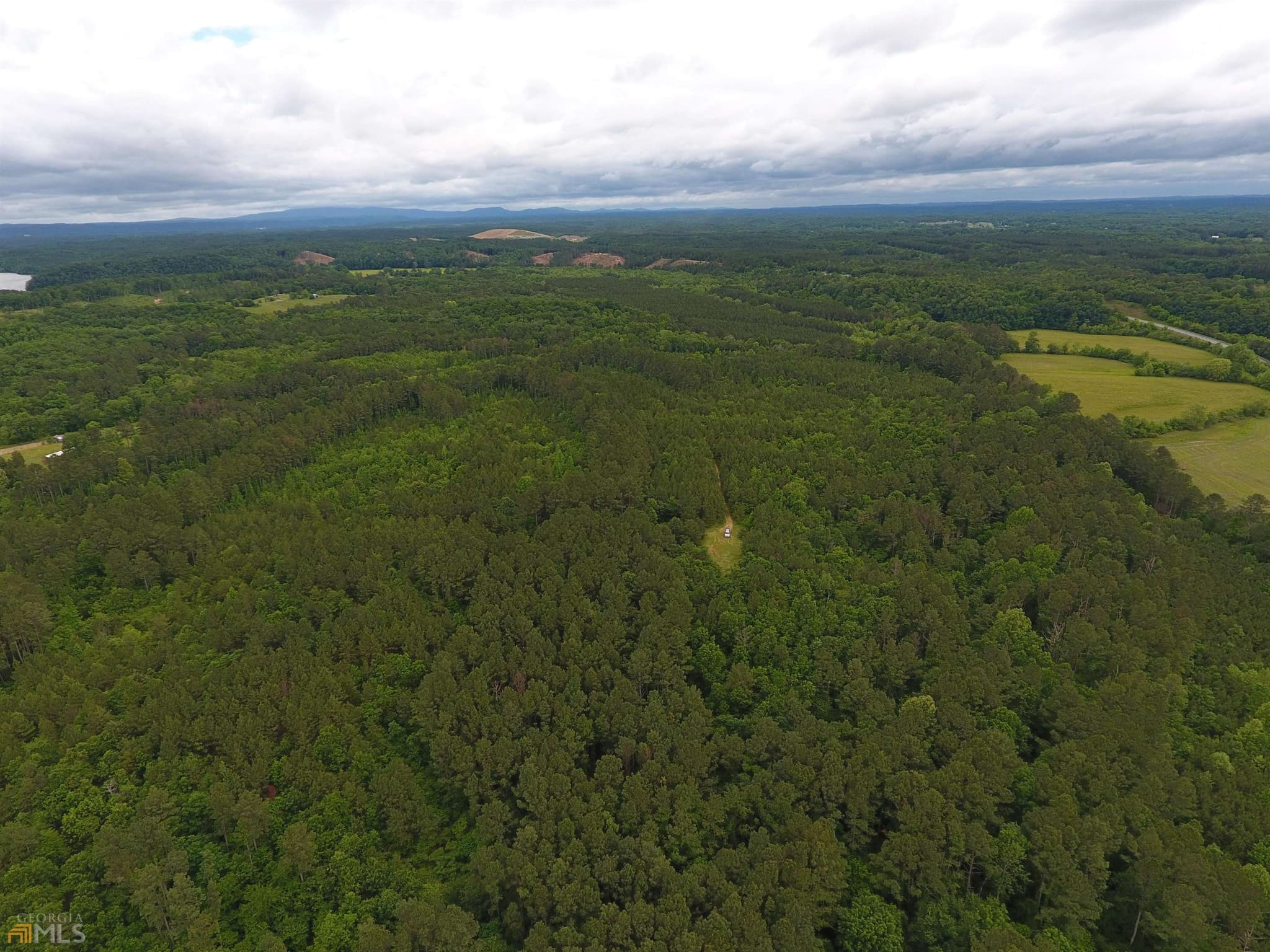 agriculture for sale at 0 Lick Creek Road 9624-C, Ranger, GA 30734 — photo 6