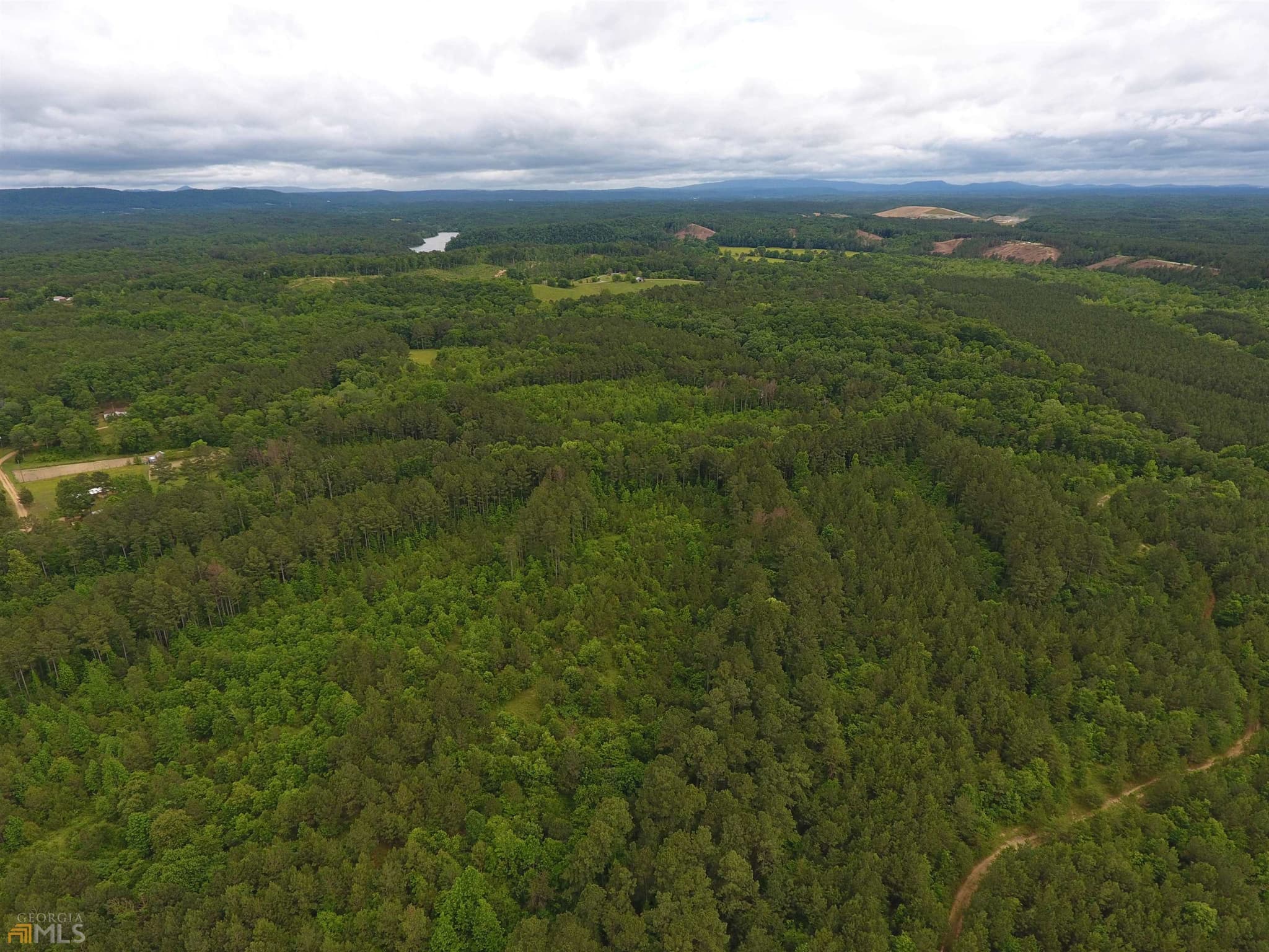 agriculture for sale at 0 Lick Creek Road 9624-C, Ranger, GA 30734 — photo 5