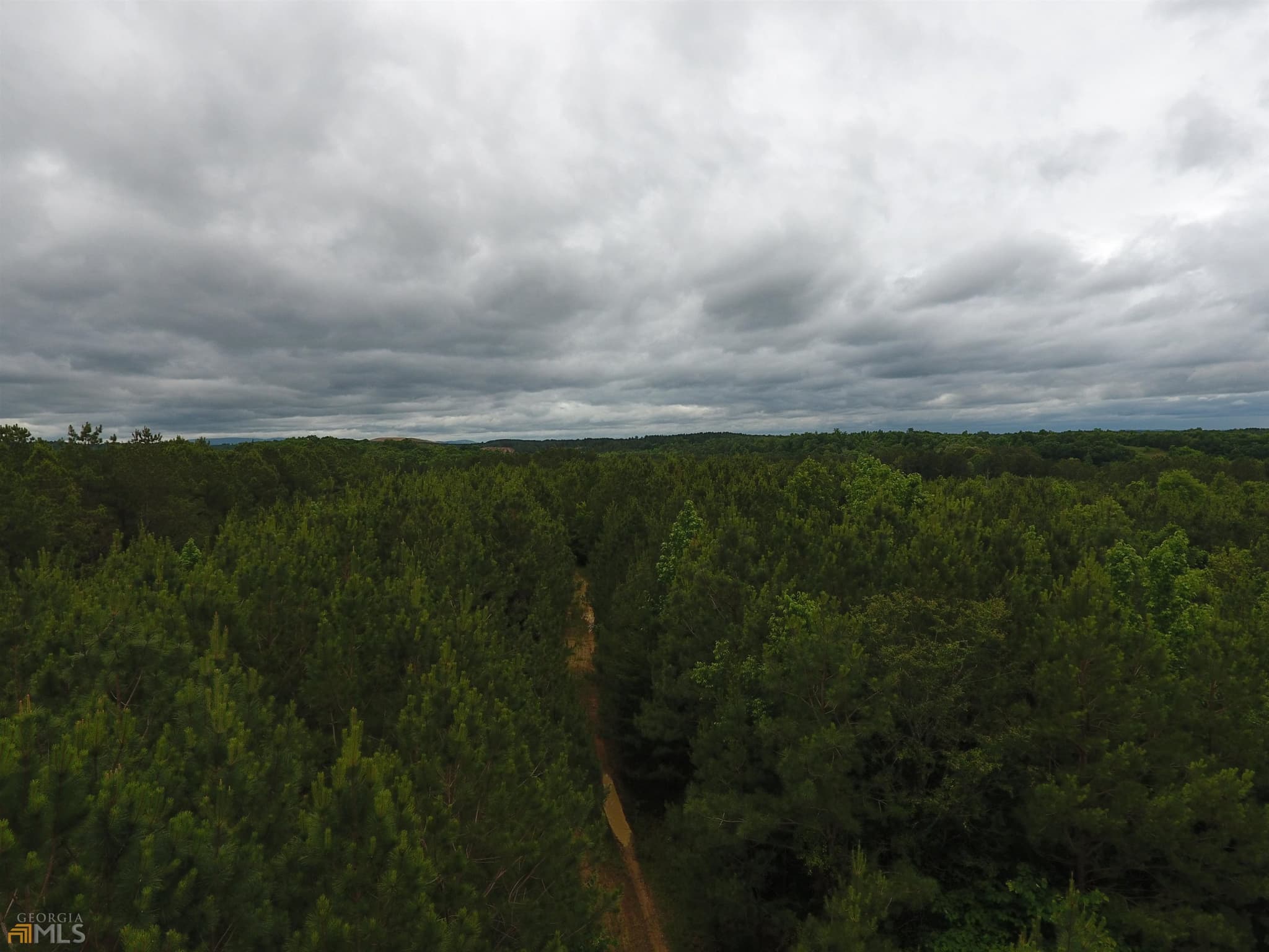 agriculture for sale at 0 Lick Creek Road 9624-C, Ranger, GA 30734 — photo 9