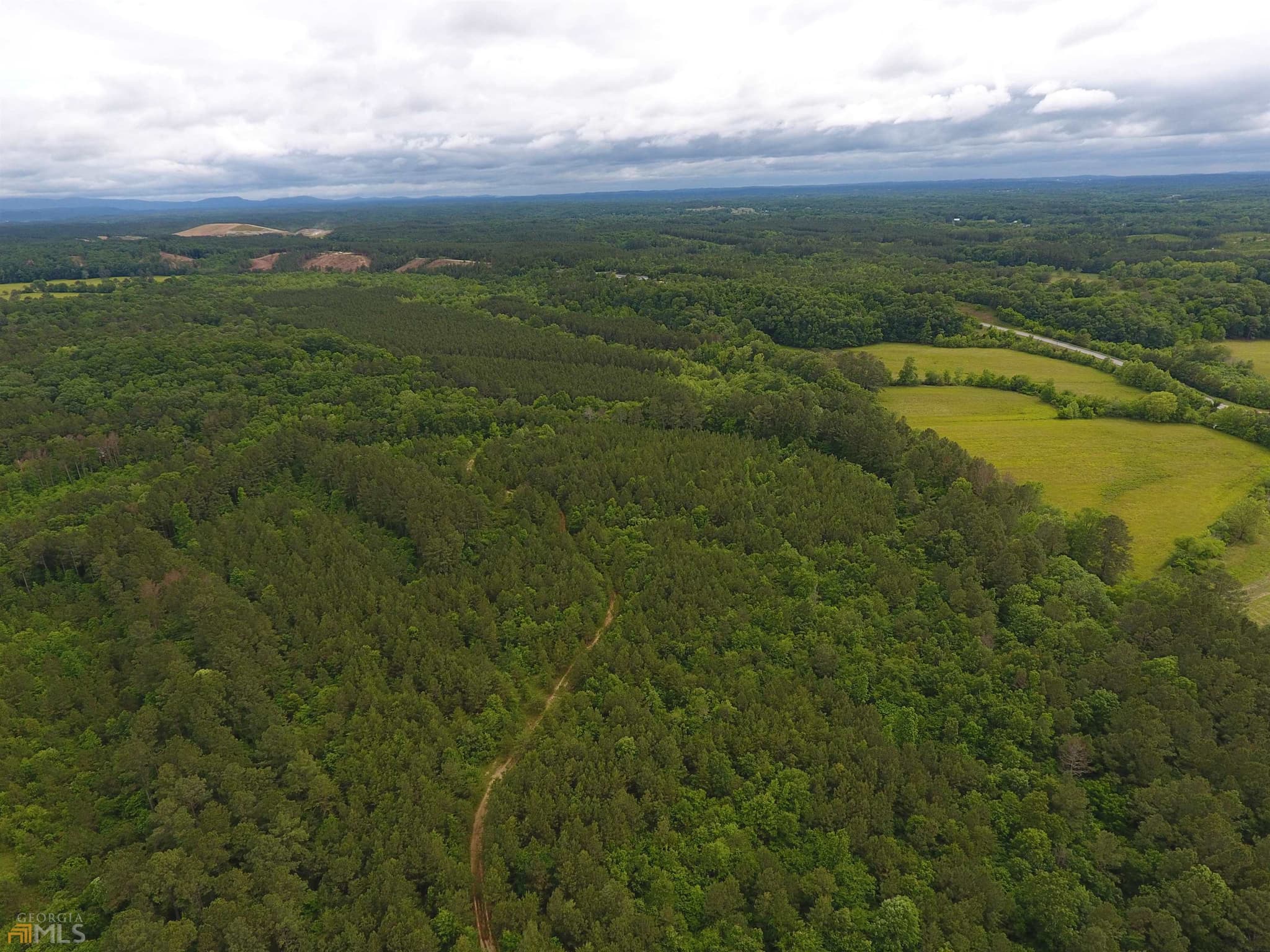 agriculture for sale at 0 Lick Creek Road 9624-C, Ranger, GA 30734 — photo 4