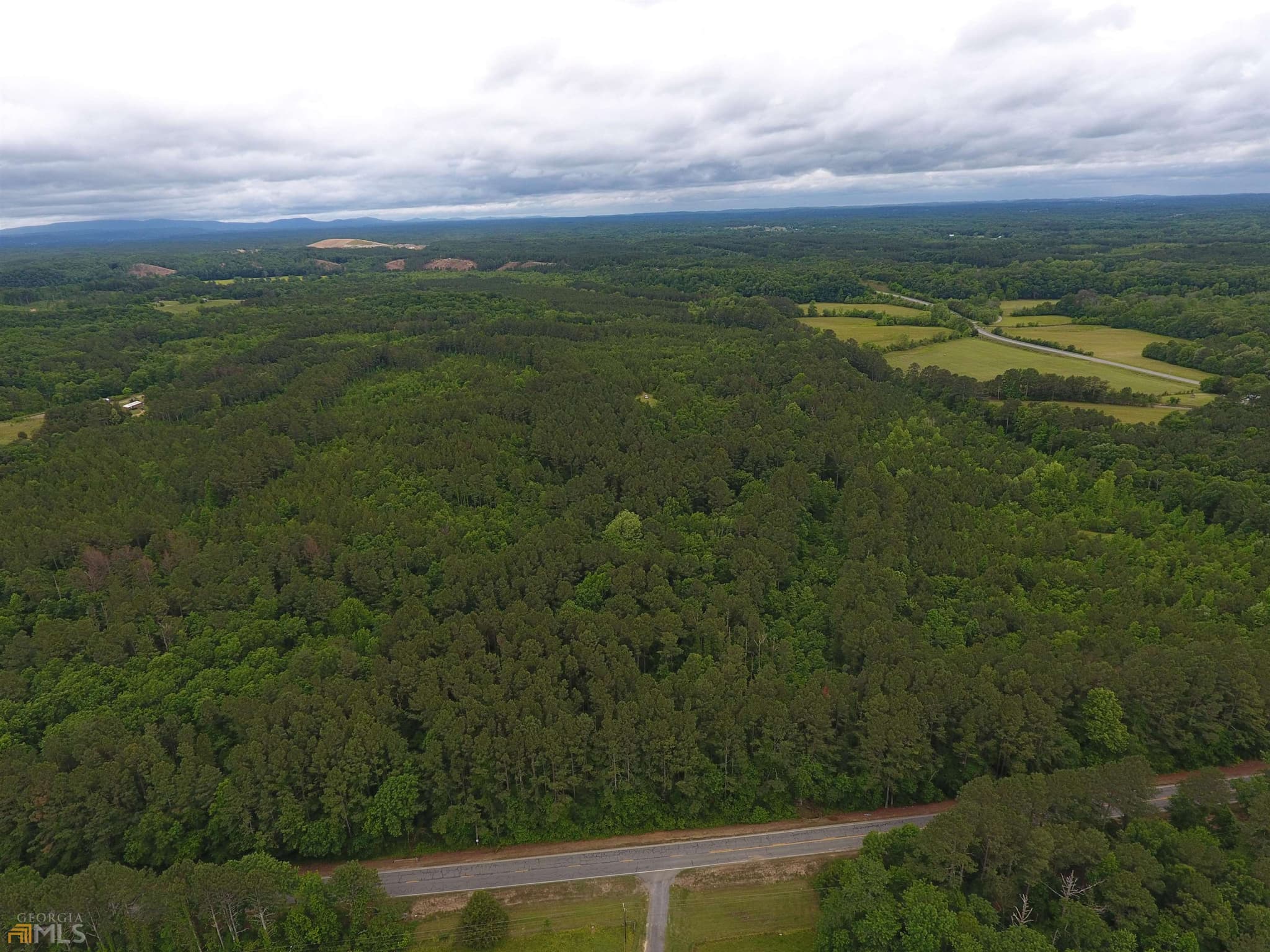 agriculture for sale at 0 Lick Creek Road 9624-C, Ranger, GA 30734 — photo 8