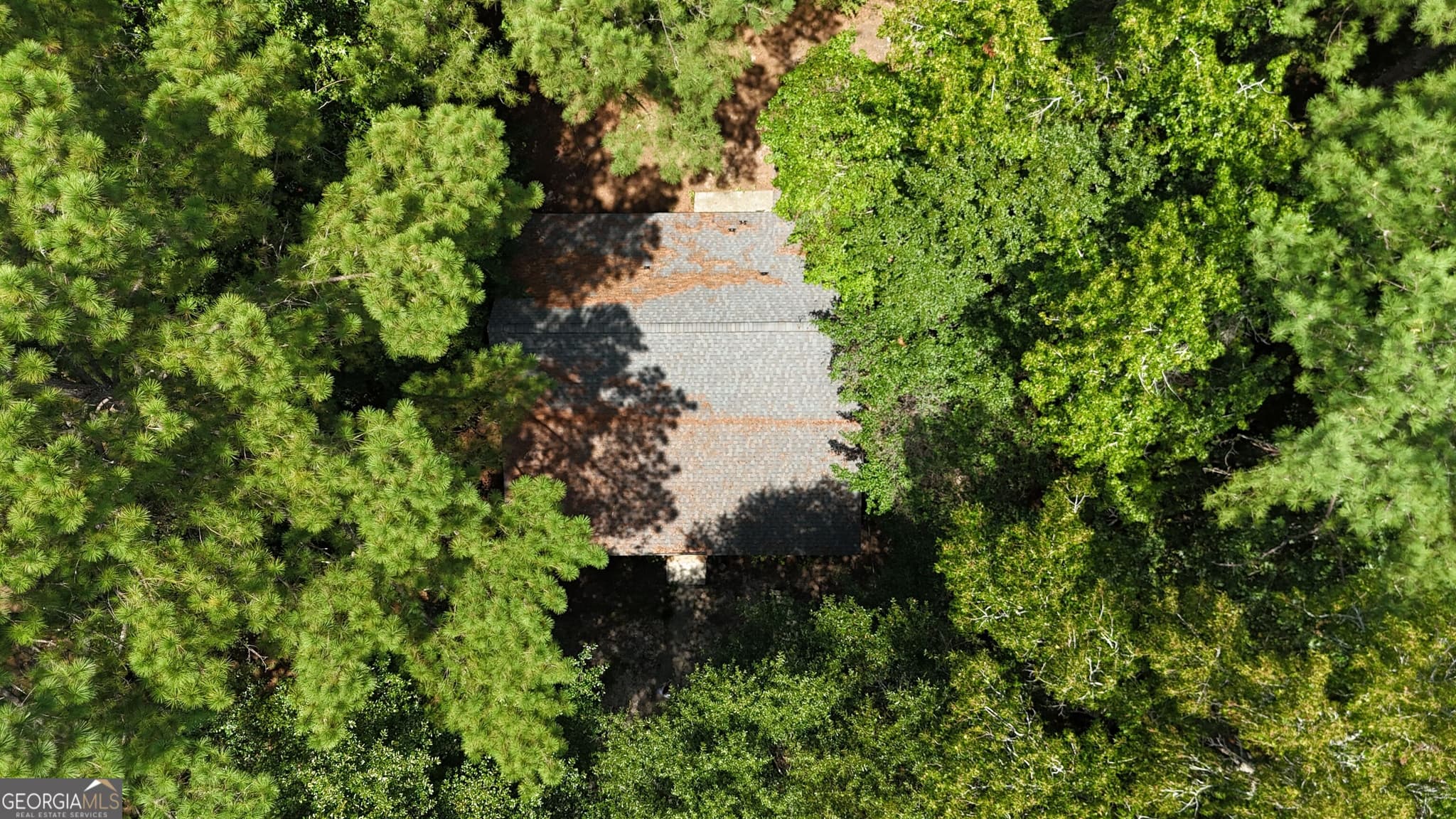 3 bedroom, 2 bathroom, 1,411 sq ft single family residence under contract at 307 Stepping Stone Court, Statesboro, GA 30461 — photo 6