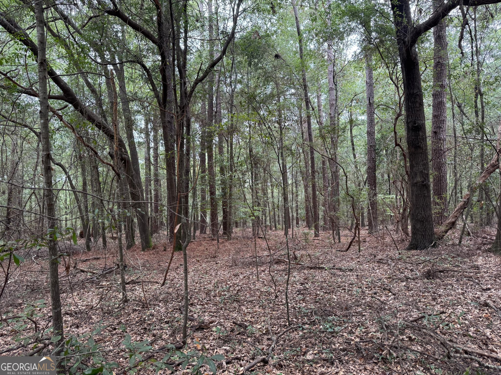agriculture for sale at 0 Glen Drive, East Dublin, GA 31027 — photo 6