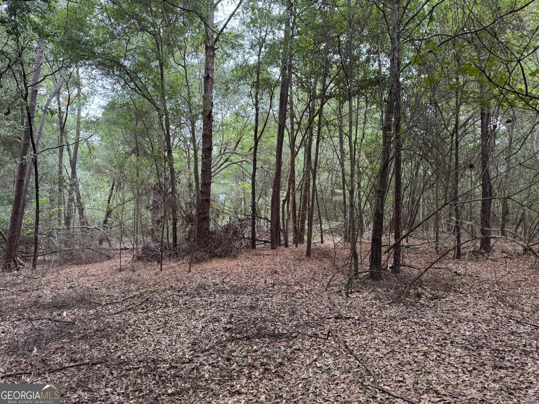 agriculture for sale at 0 Glen Drive, East Dublin, GA 31027 — photo 7